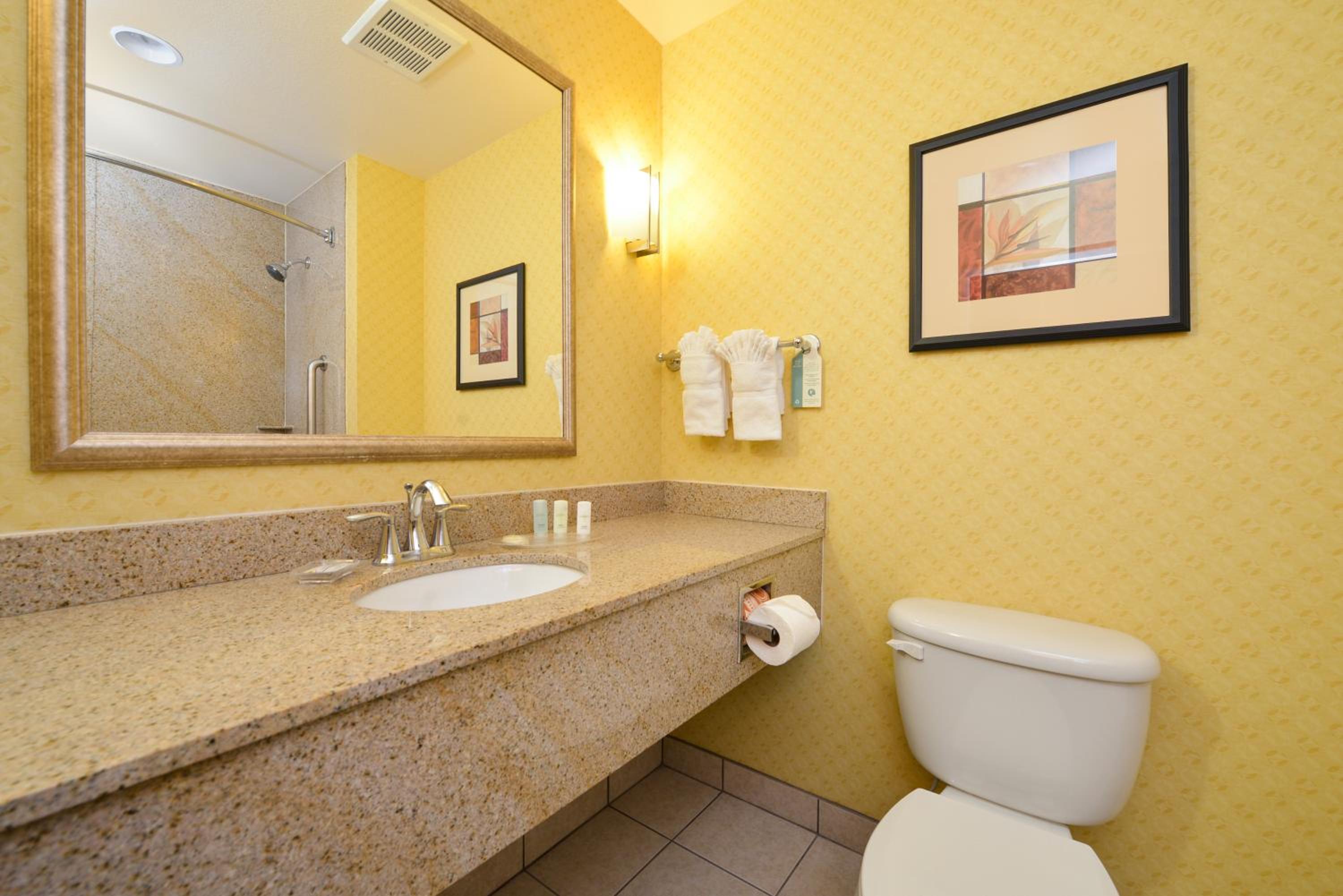 Efficiency King Suite - Non-Smoking - Photo 3