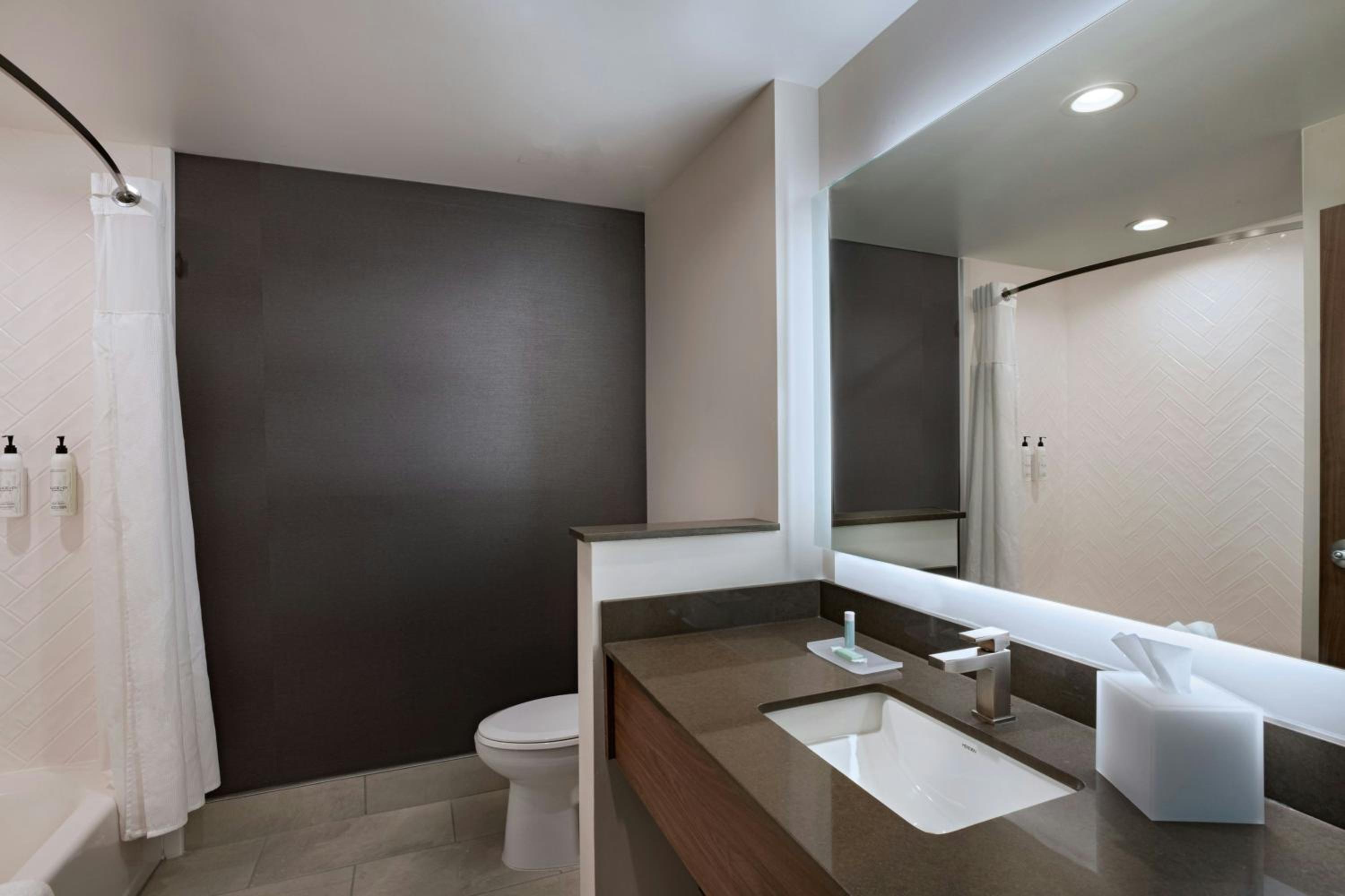 Standard Queen Room with City View - Mobility/Hearing Accessible with Tub photo 2