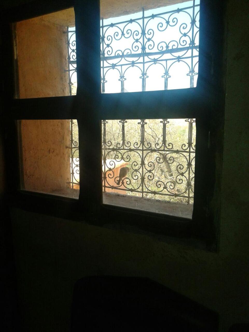 Quadruple Room - Photo 6