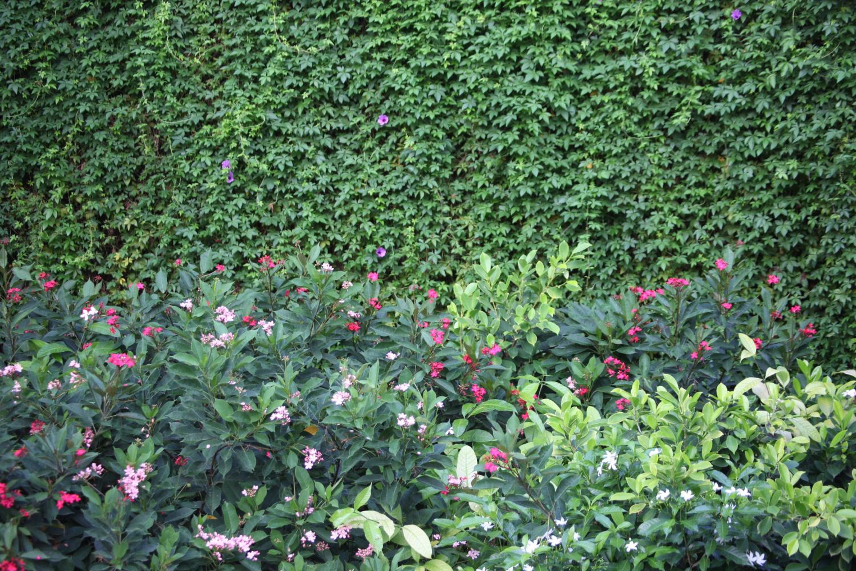 Double or Twin Room with Garden View photo 2