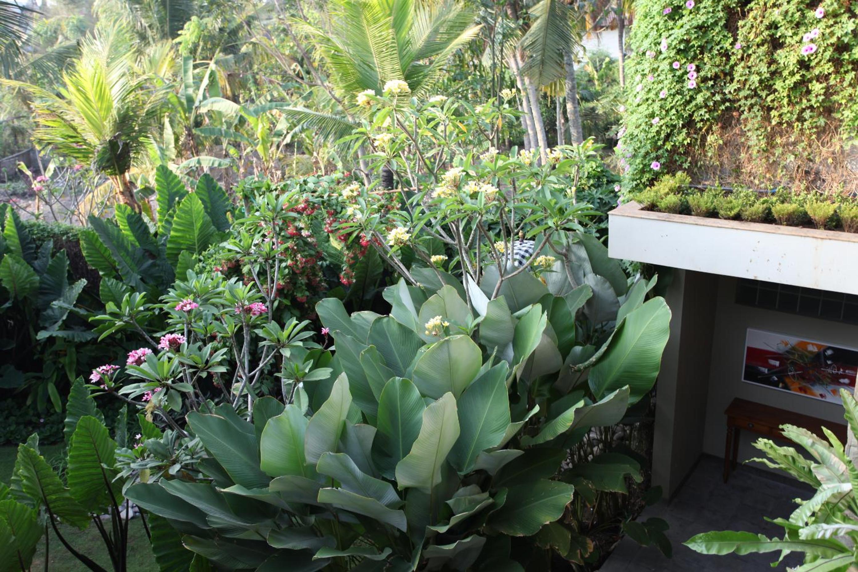Double or Twin Room with Garden View photo 3