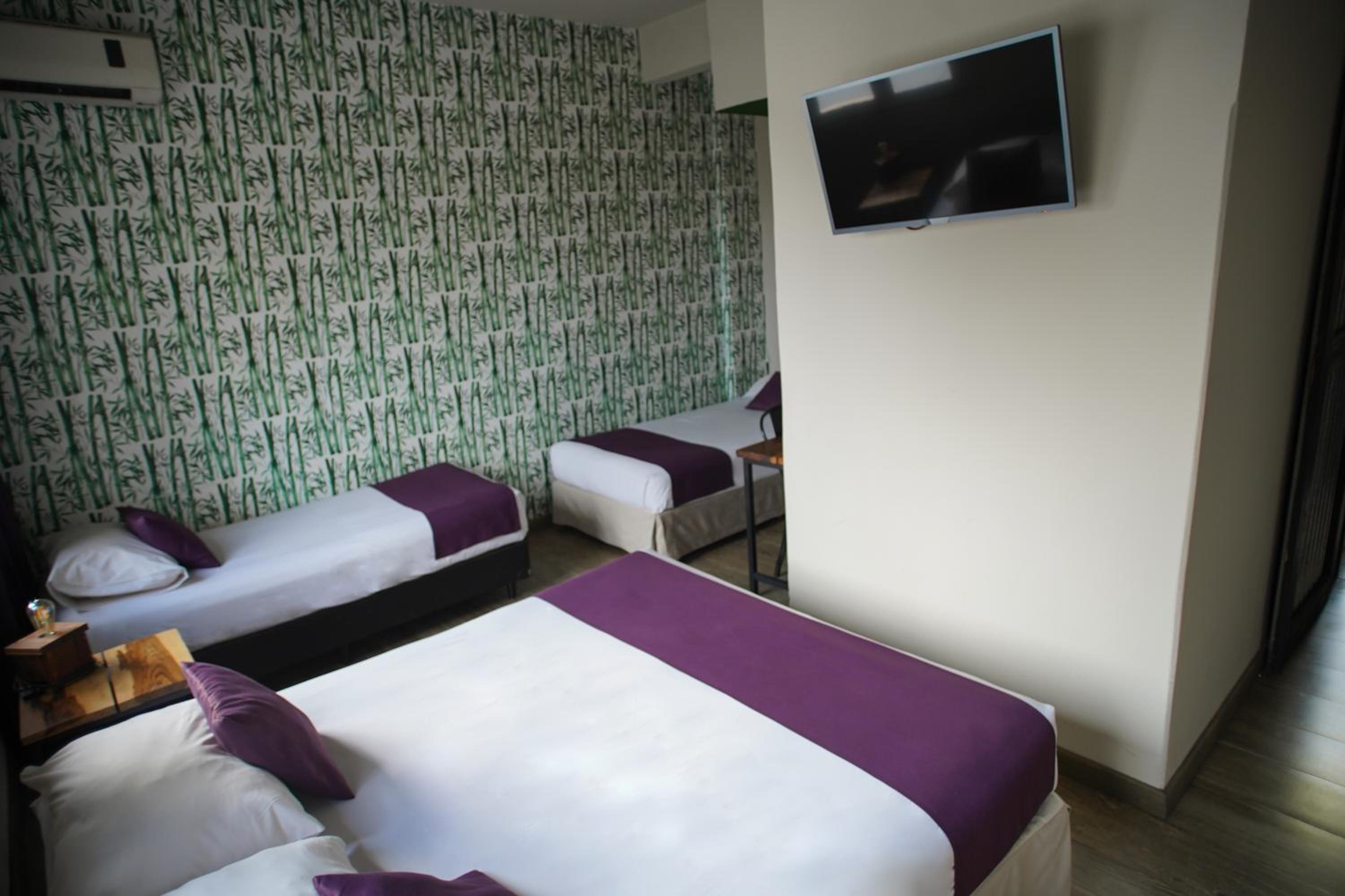 Standard Quadruple Room photo 3