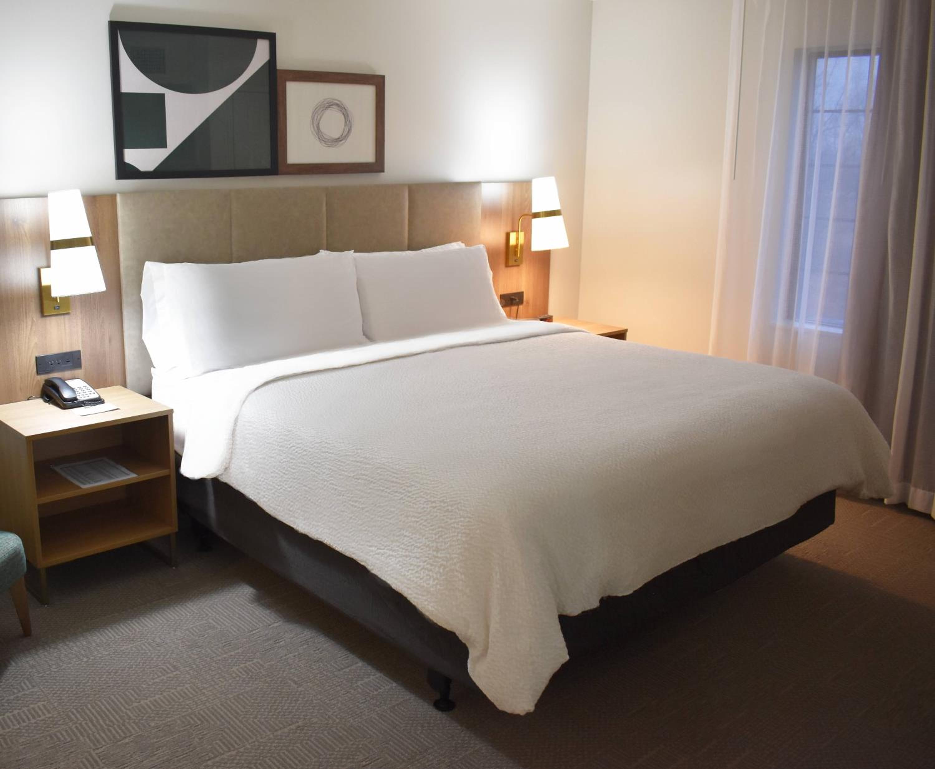One-Bedroom Queen Suite - Photo 3