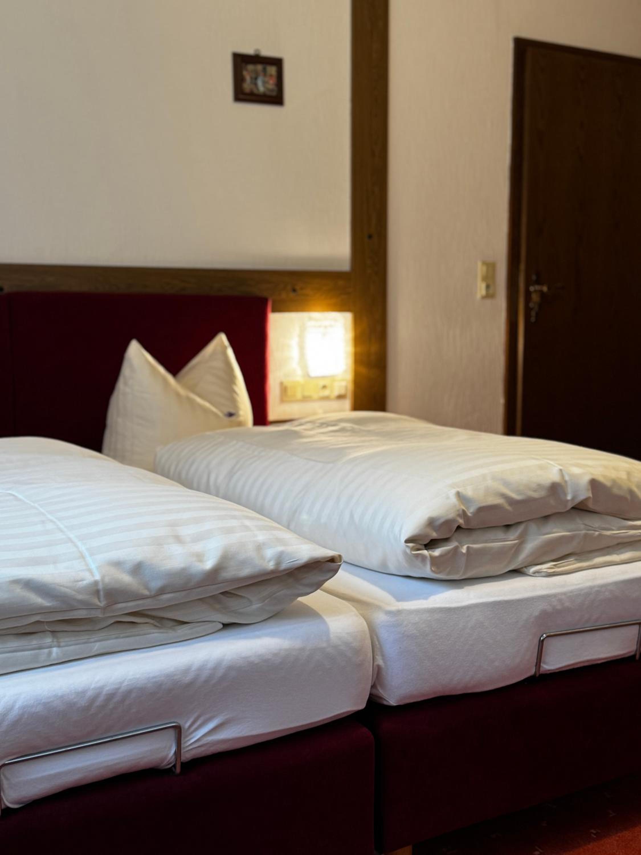 Double Room with Mountain View