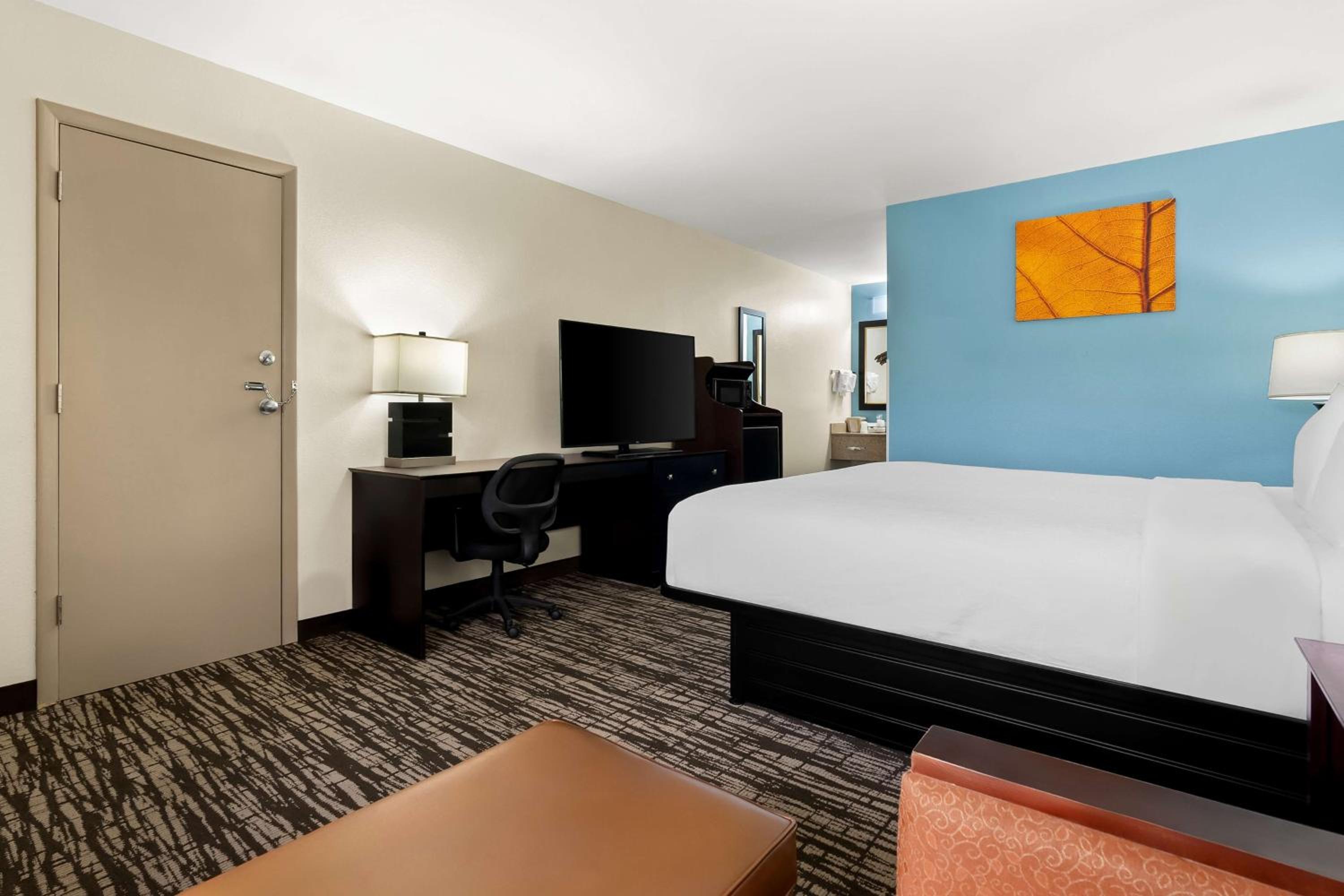 King Room with Roll-In Shower - Disability Access