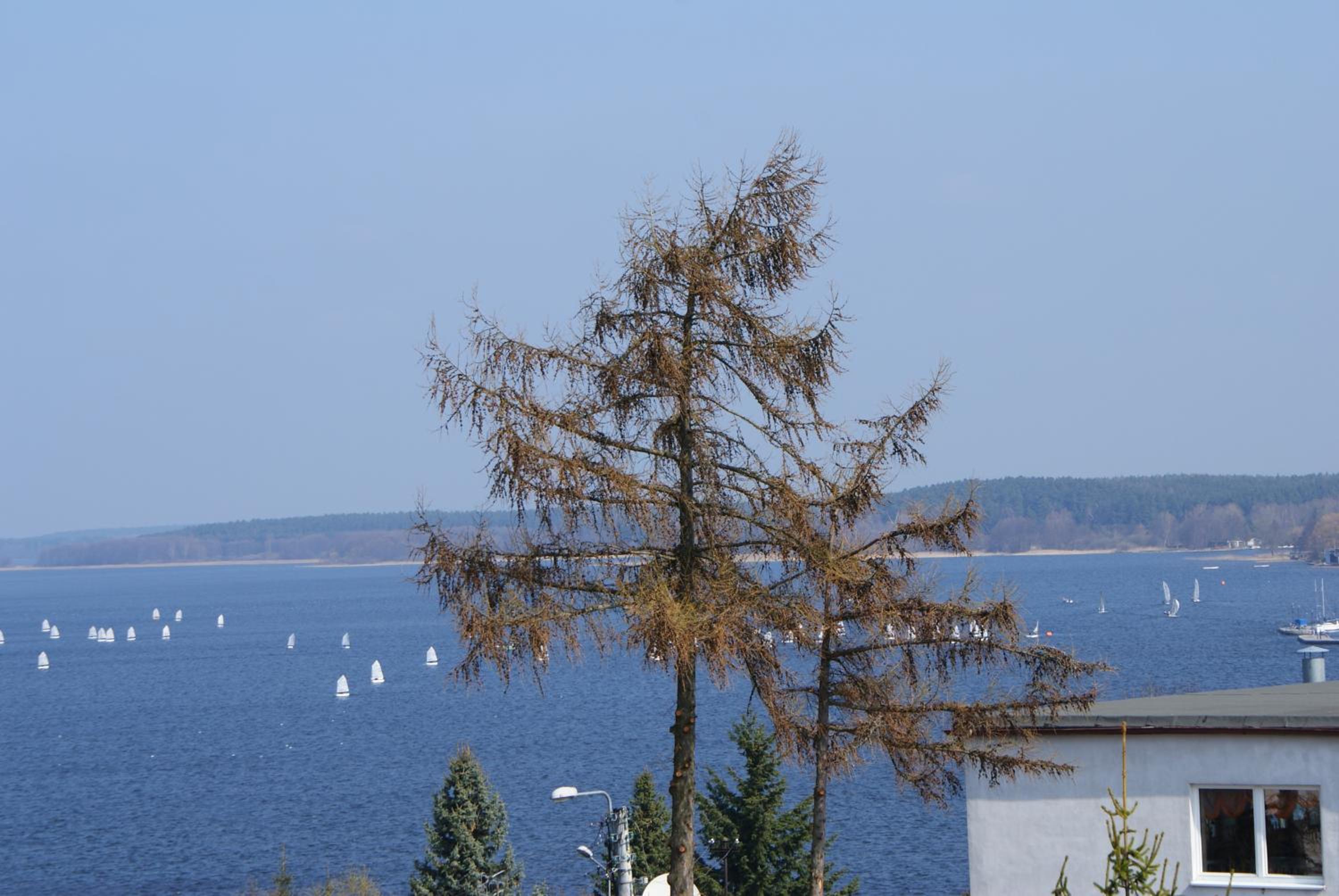 Two-Bedroom Apartment with Lake View photo 2