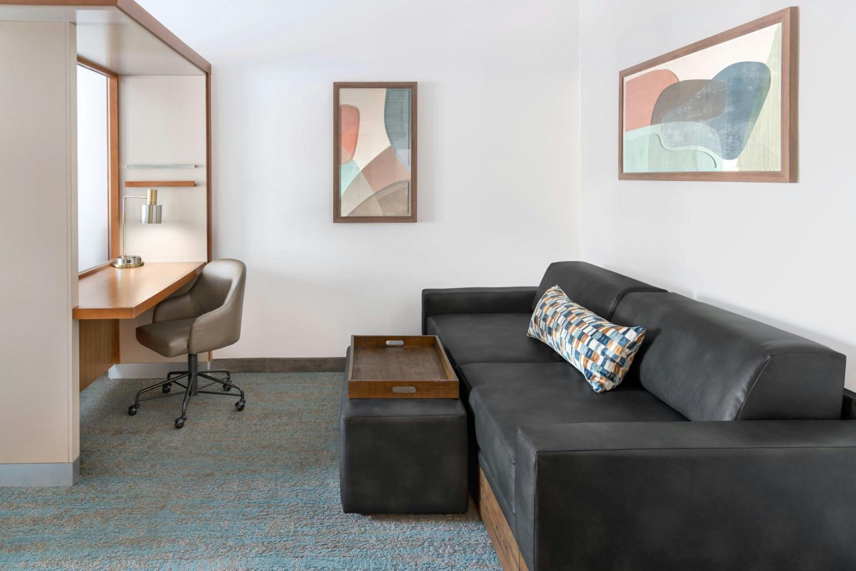 King Studio with Sofa Bed and Roll-in Shower - Mobility Accessible