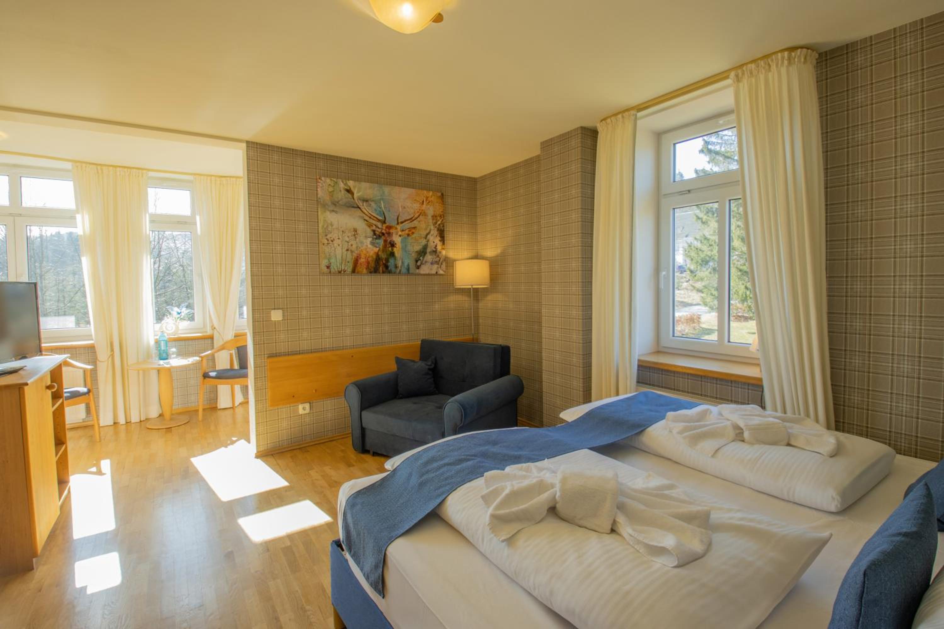 Deluxe Double Room (2 Adults + 1 Child) photo 3