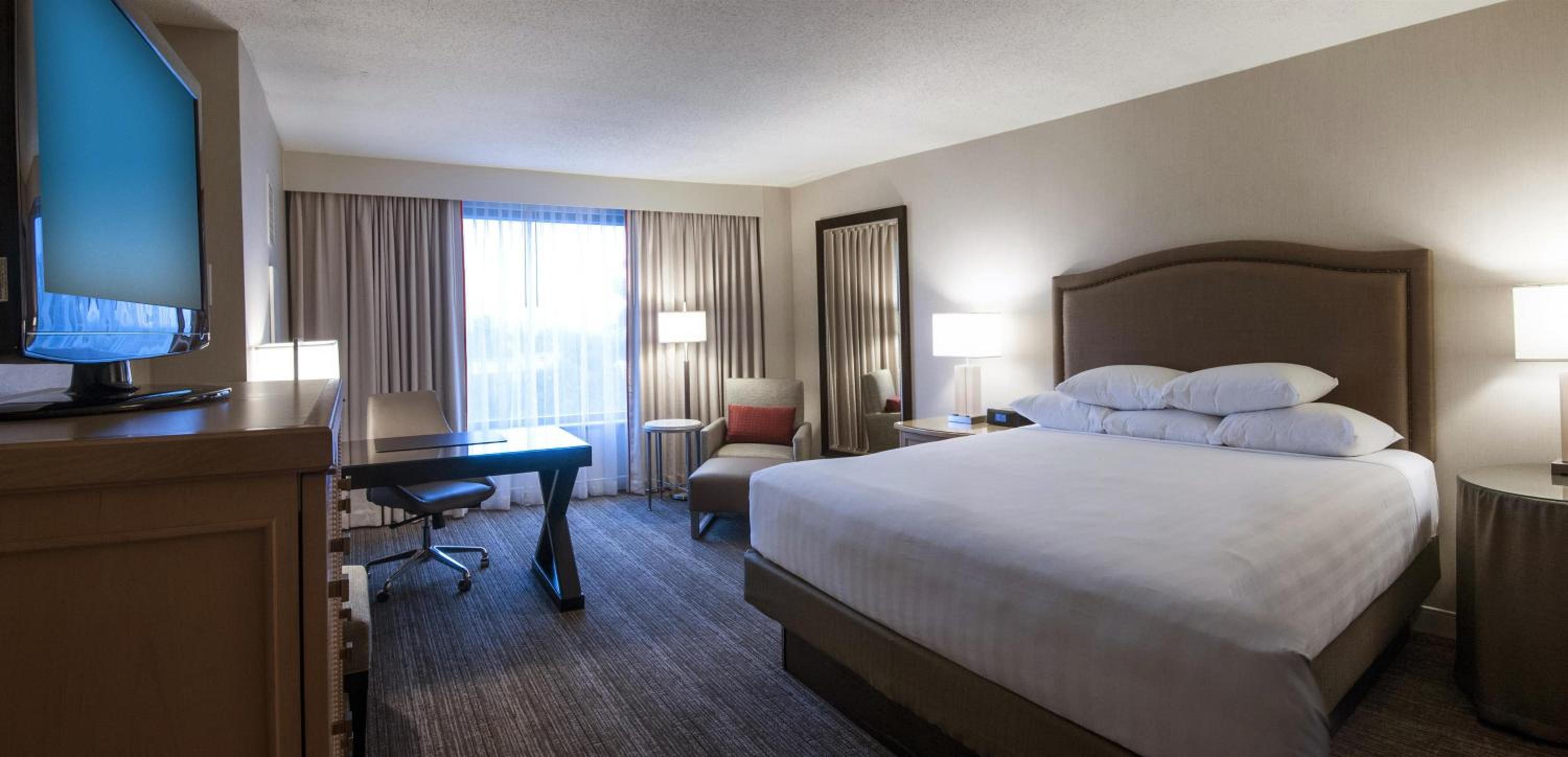 Suite - Photo 1