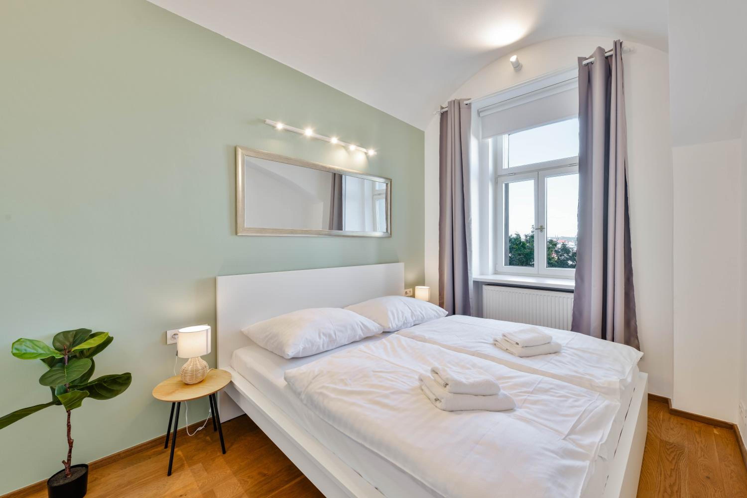 Deluxe One-Bedroom Apartment with City View