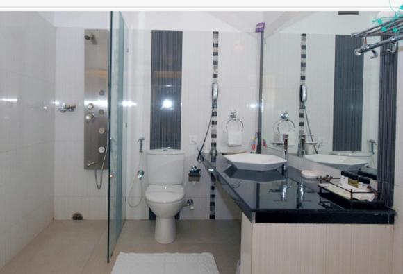 Deluxe Double Room photo 3