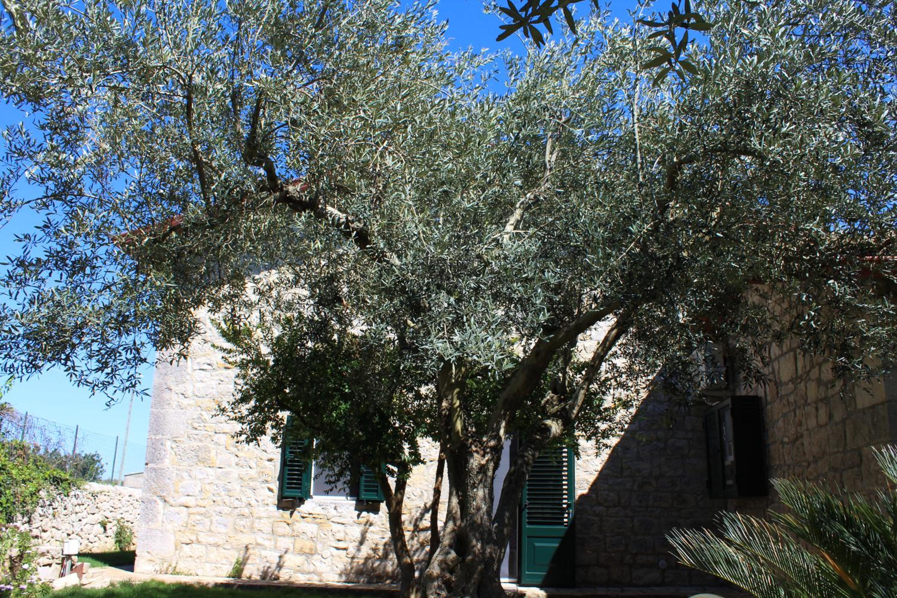 Two-Bedroom House - Photo 7