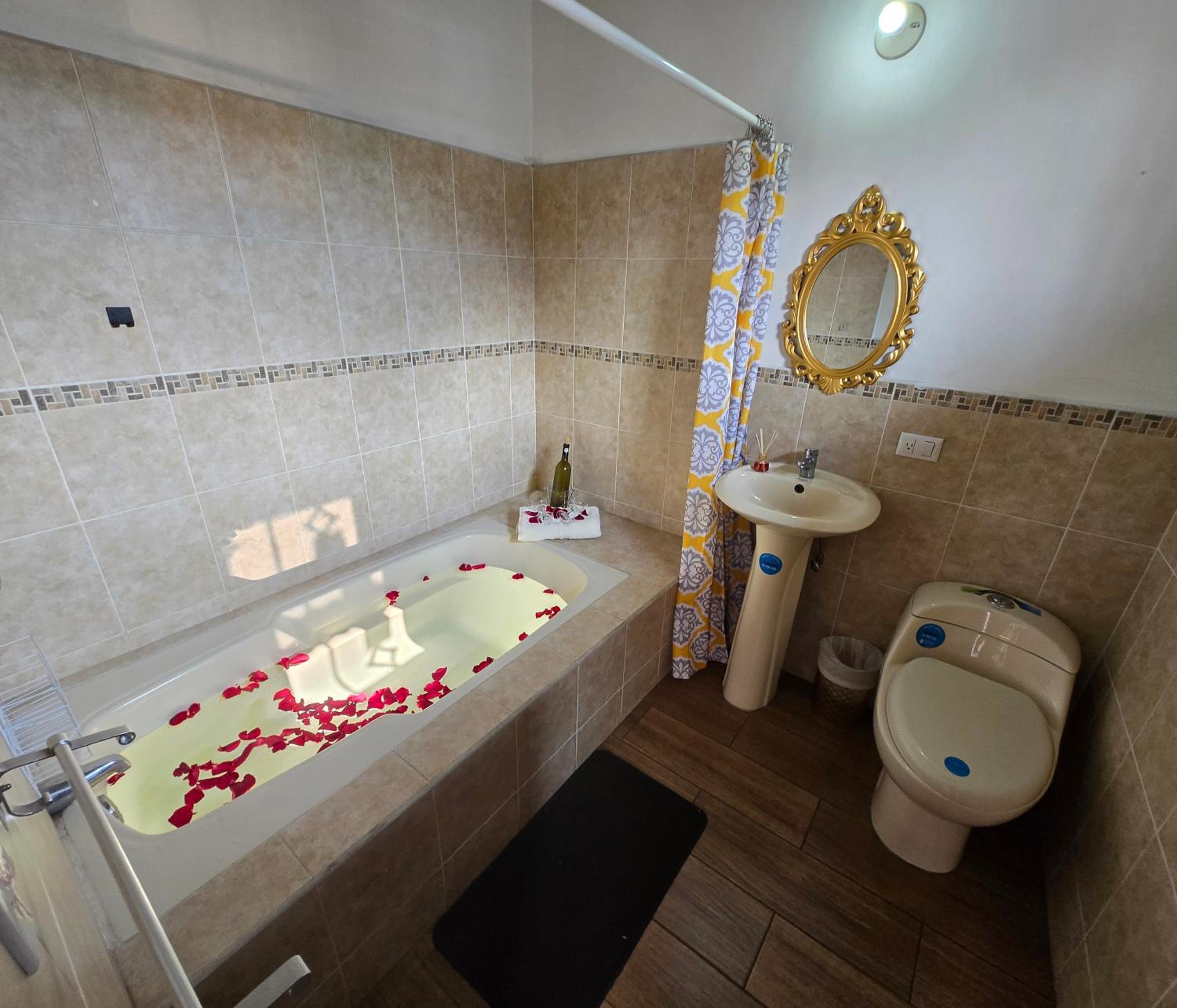 Deluxe Double Room with Bath photo 1