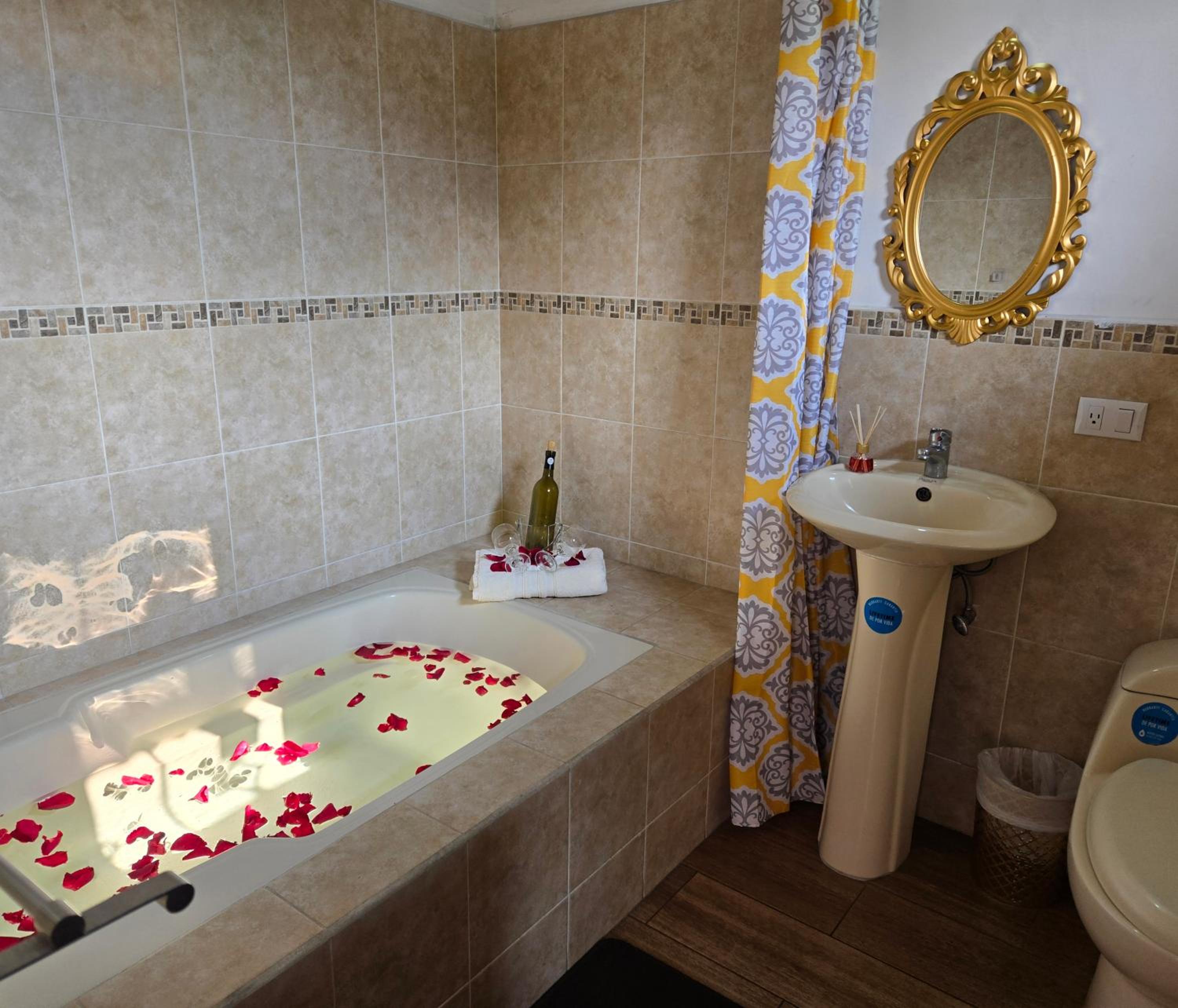 Deluxe Double Room with Bath photo 3
