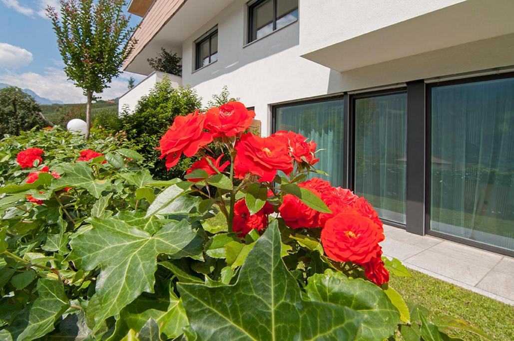Apartment with Terrace - Photo 2