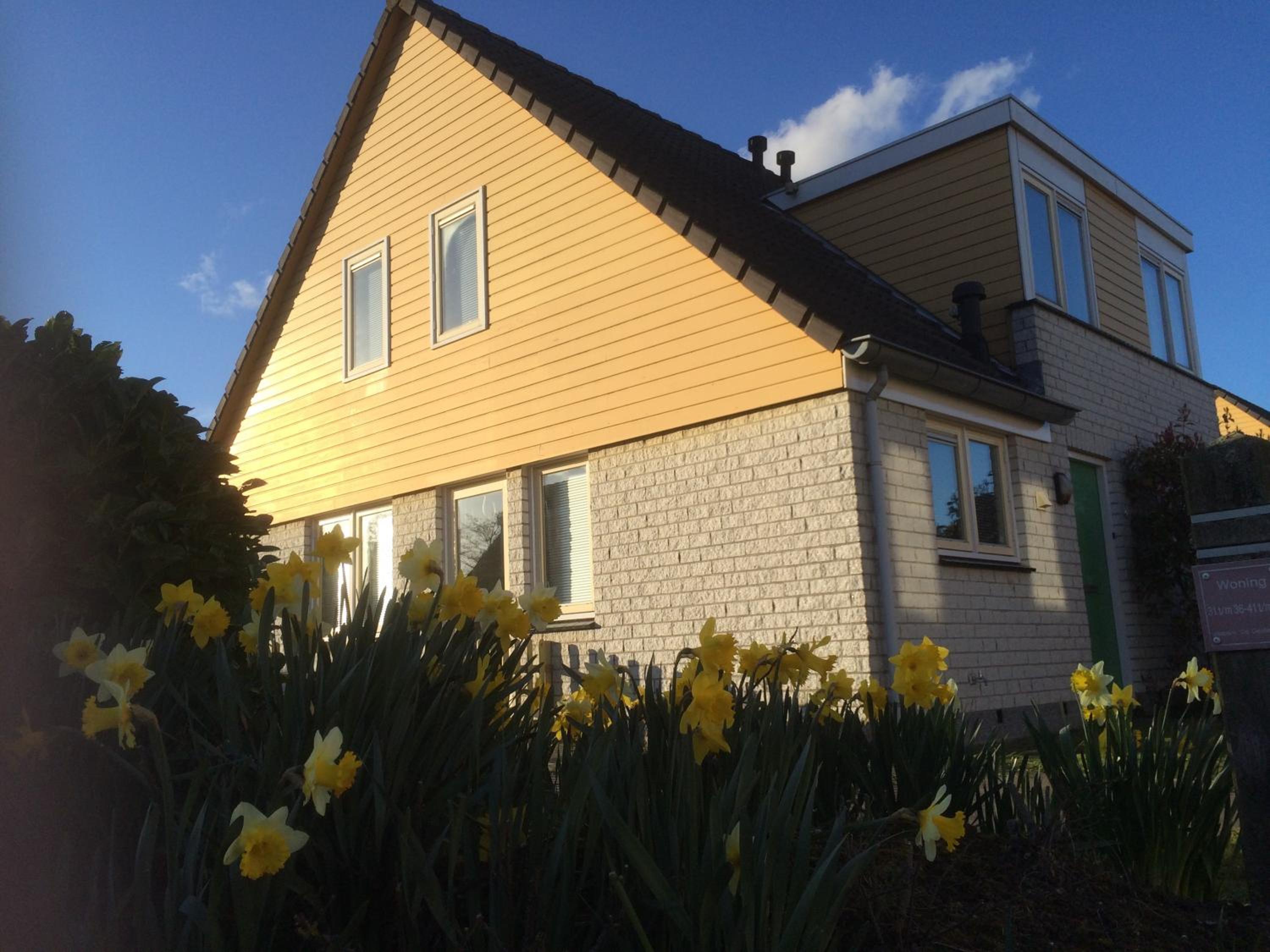 Three-Bedroom House photo 2