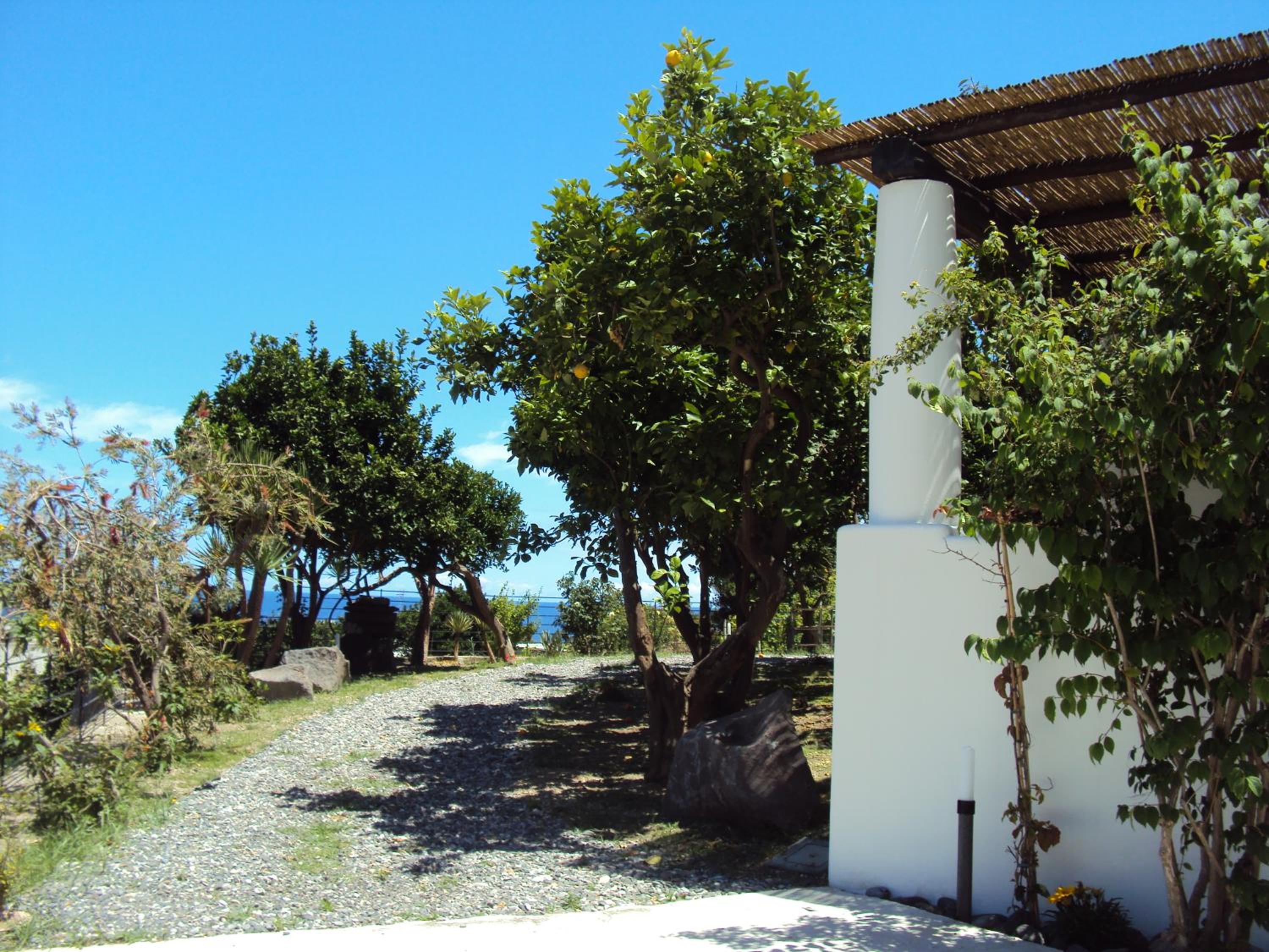 Single Room with partial sea view photo 2