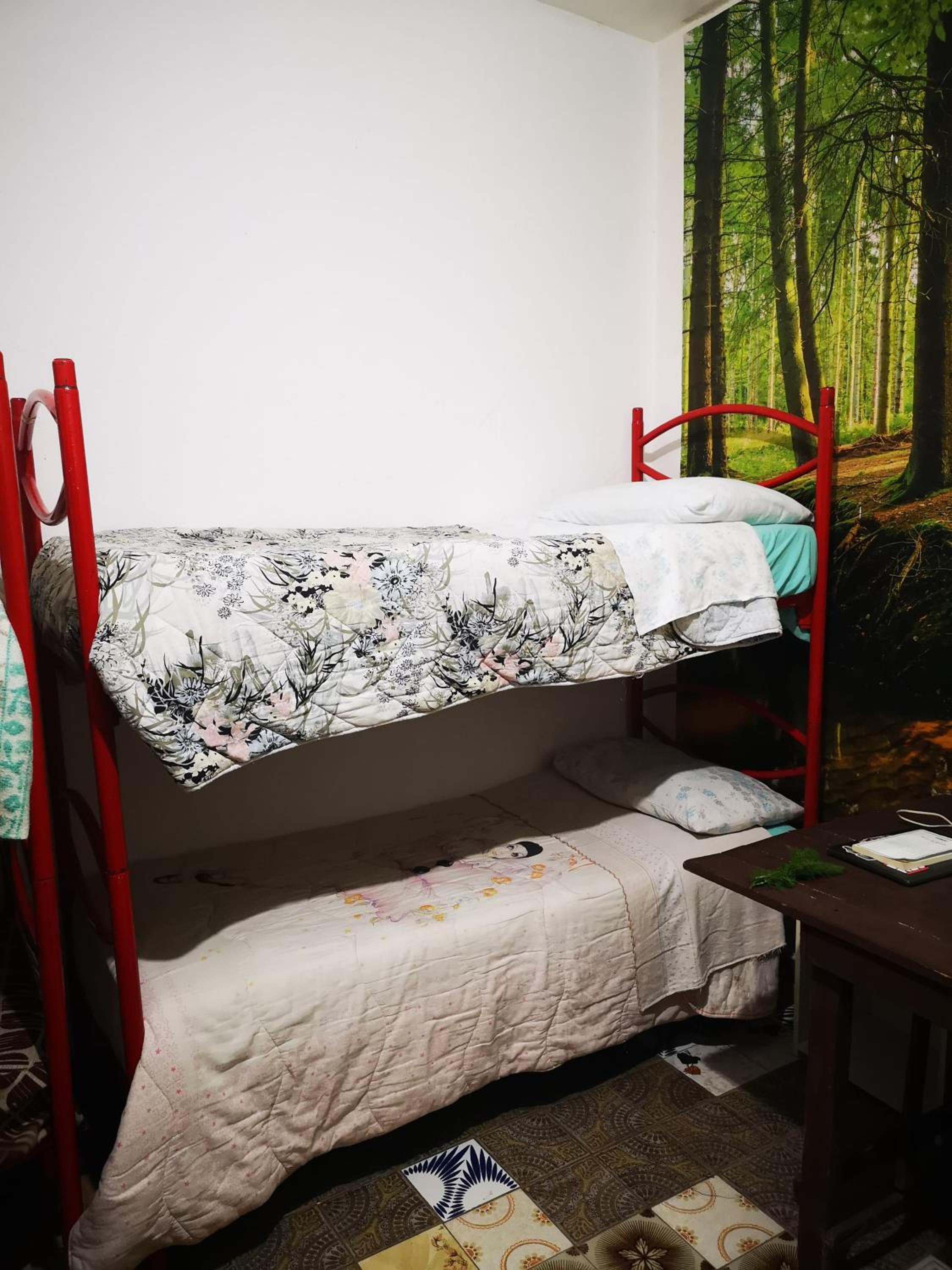 Bed in 6-Bed Mixed Dormitory Room