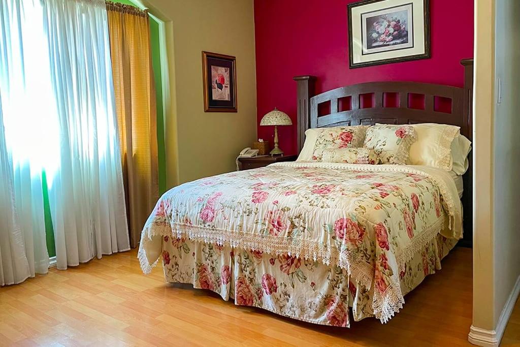 Deluxe Queen Room photo 1