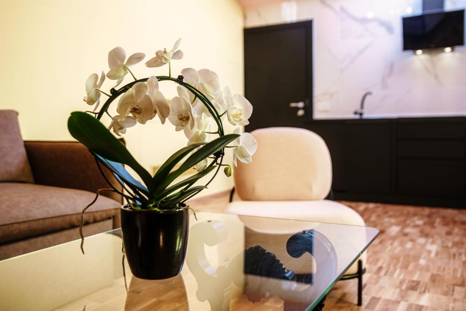 Executive Suite - Photo 3
