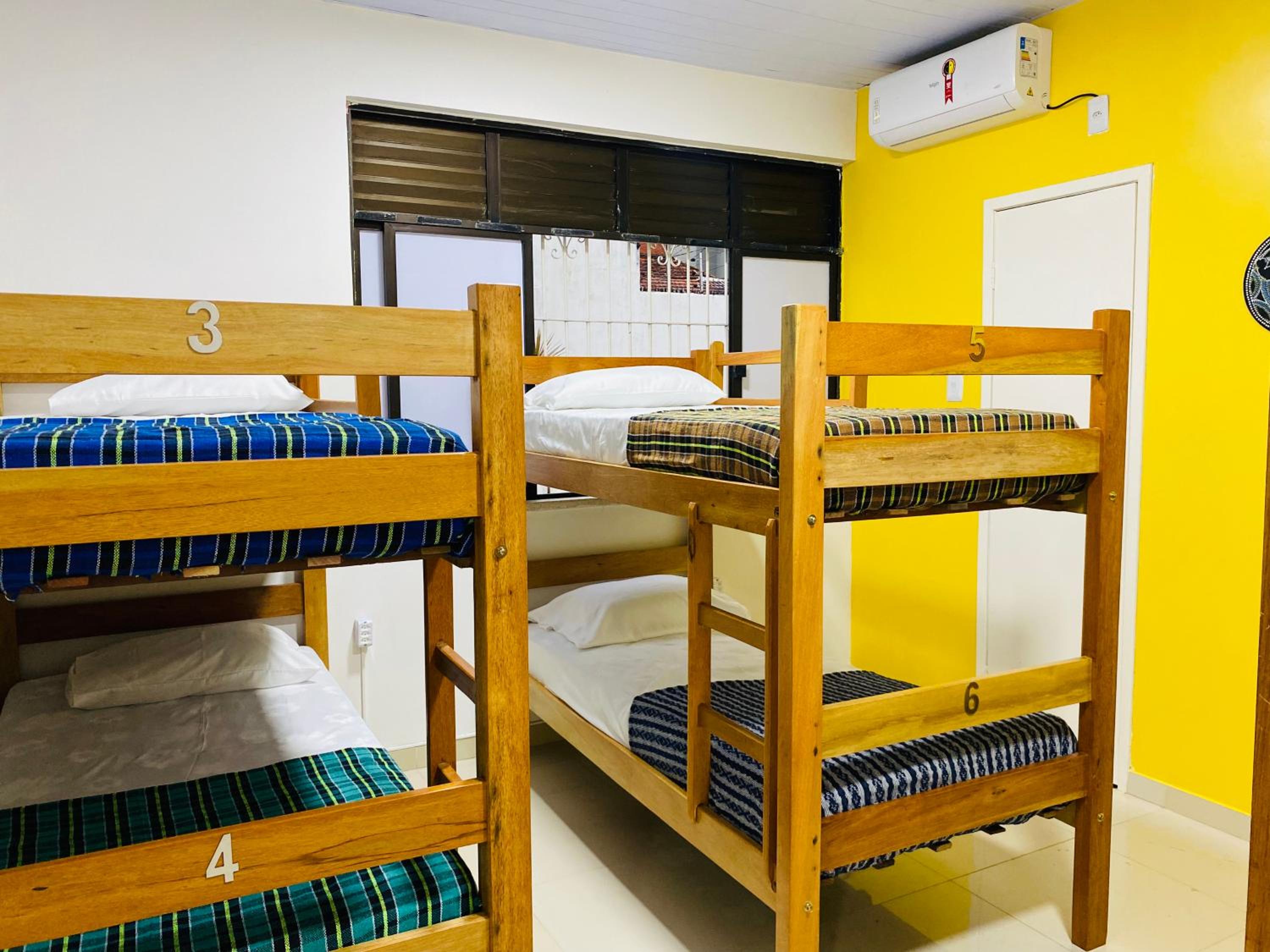 Bunk Bed in Mixed Dormitory Room photo 2