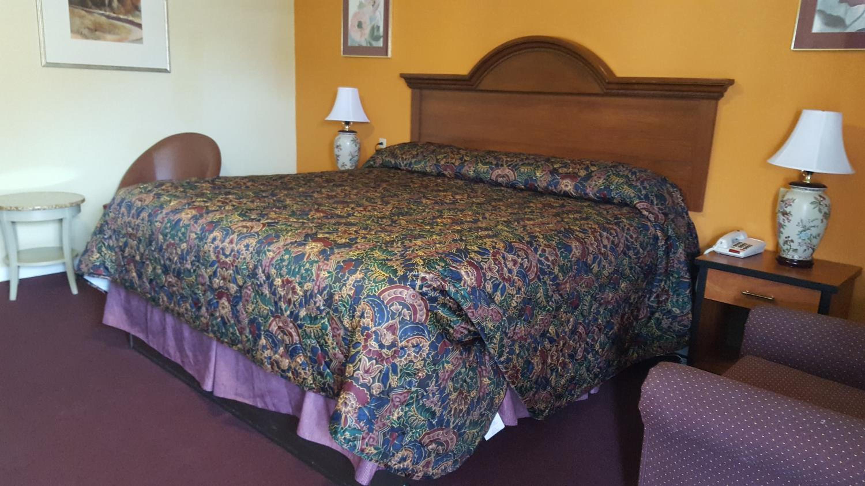Deluxe Single Room - Photo 1