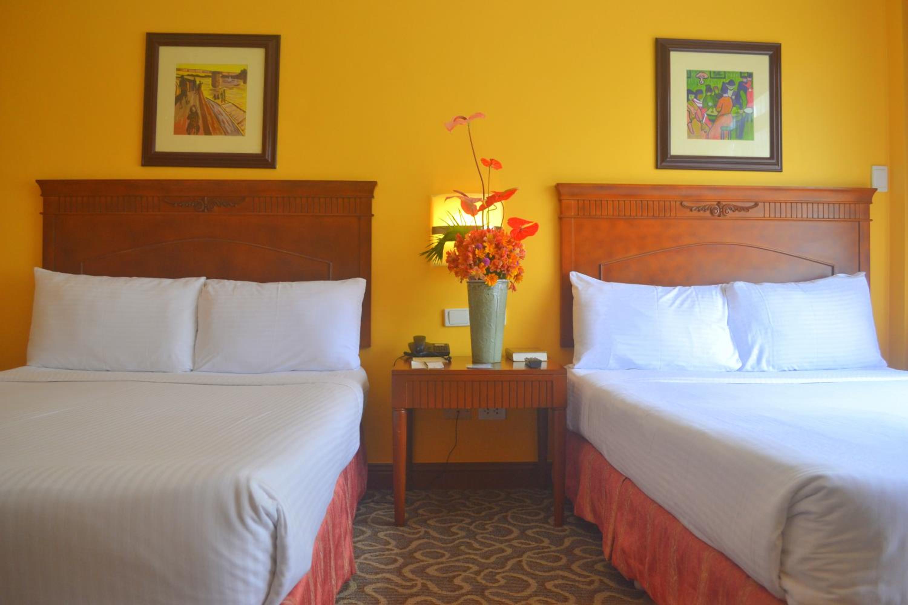 Deluxe Double or Twin Room - Photo 8