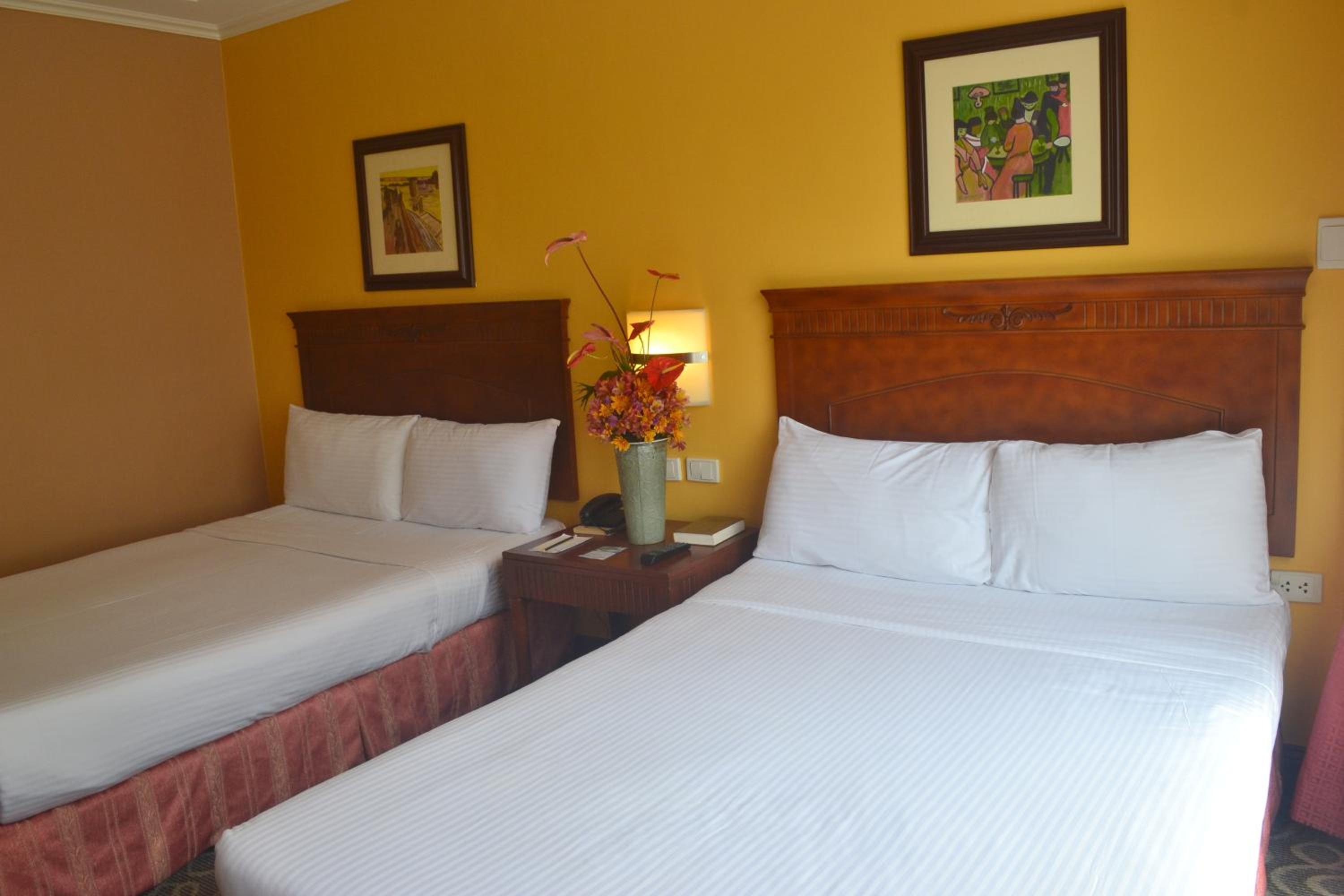 Deluxe Double or Twin Room - Photo 5