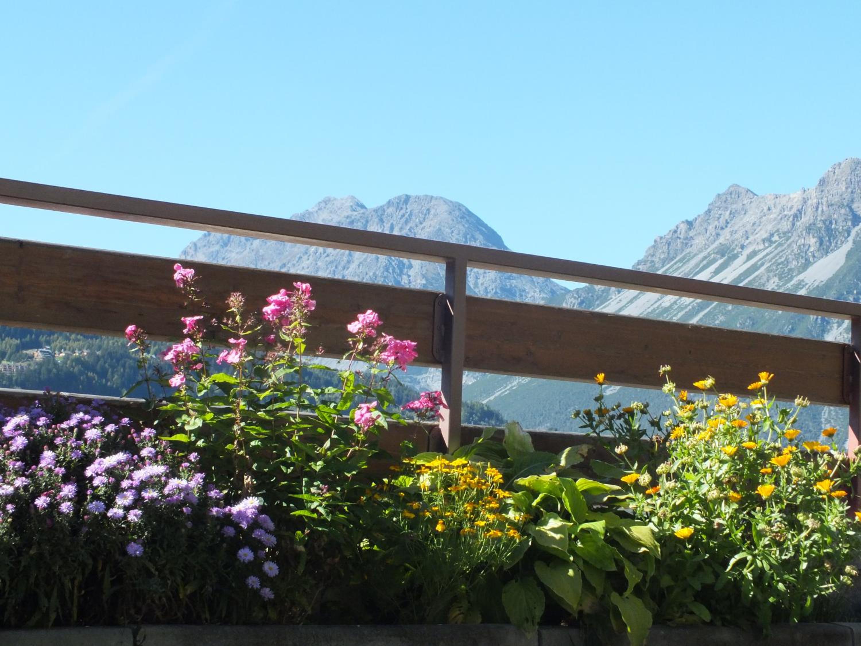 Apartment with Garden and Mountain View photo 3