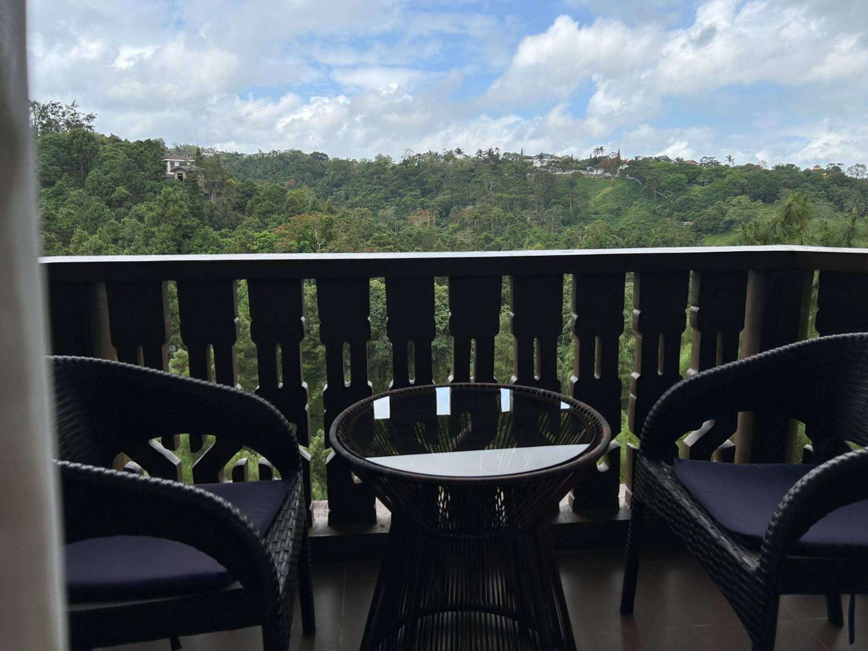 Studio with Garden View photo 2