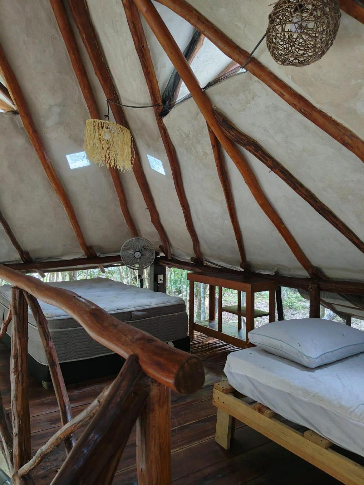 King Suite photo 2