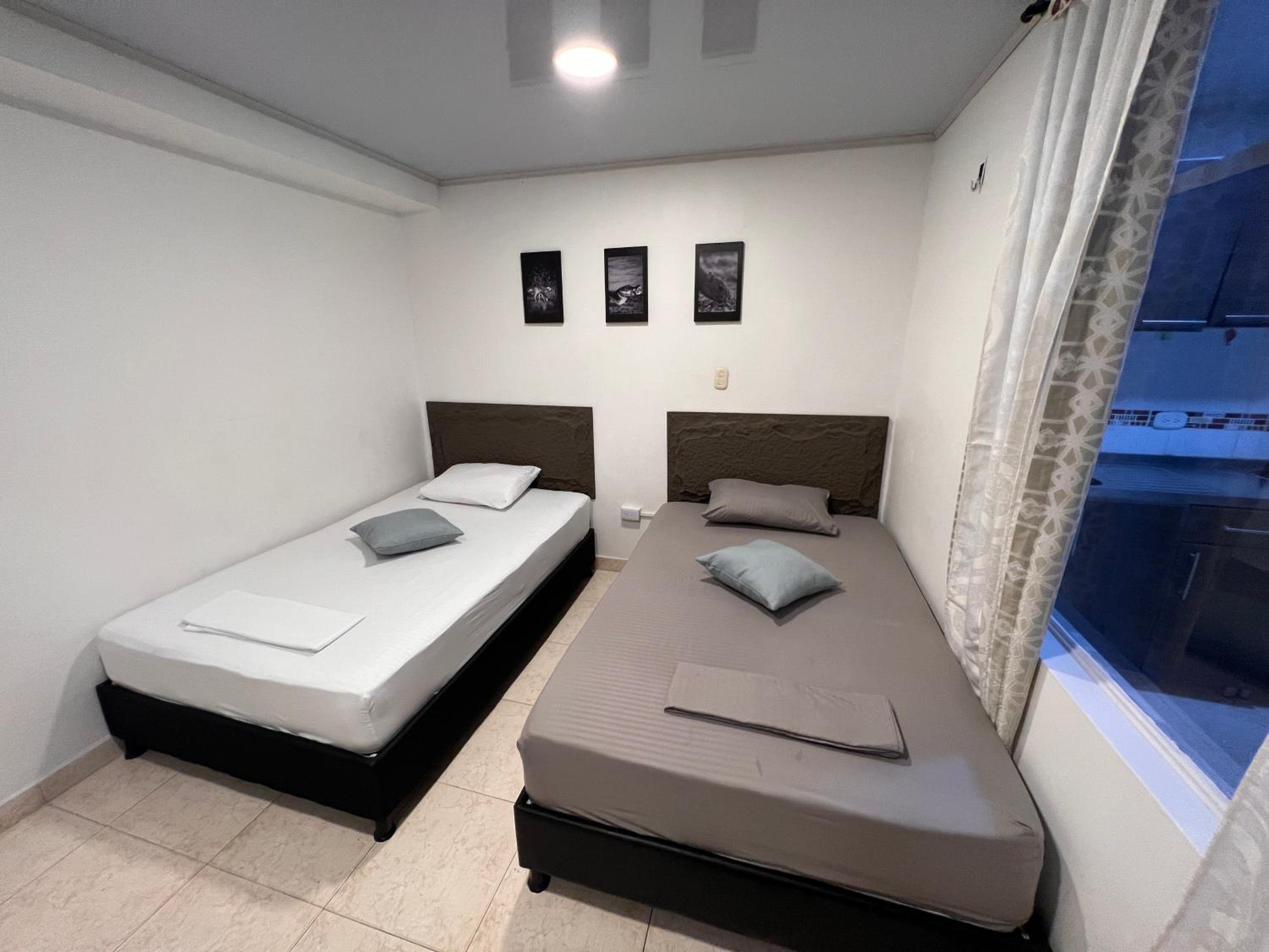 Twin Room photo 2
