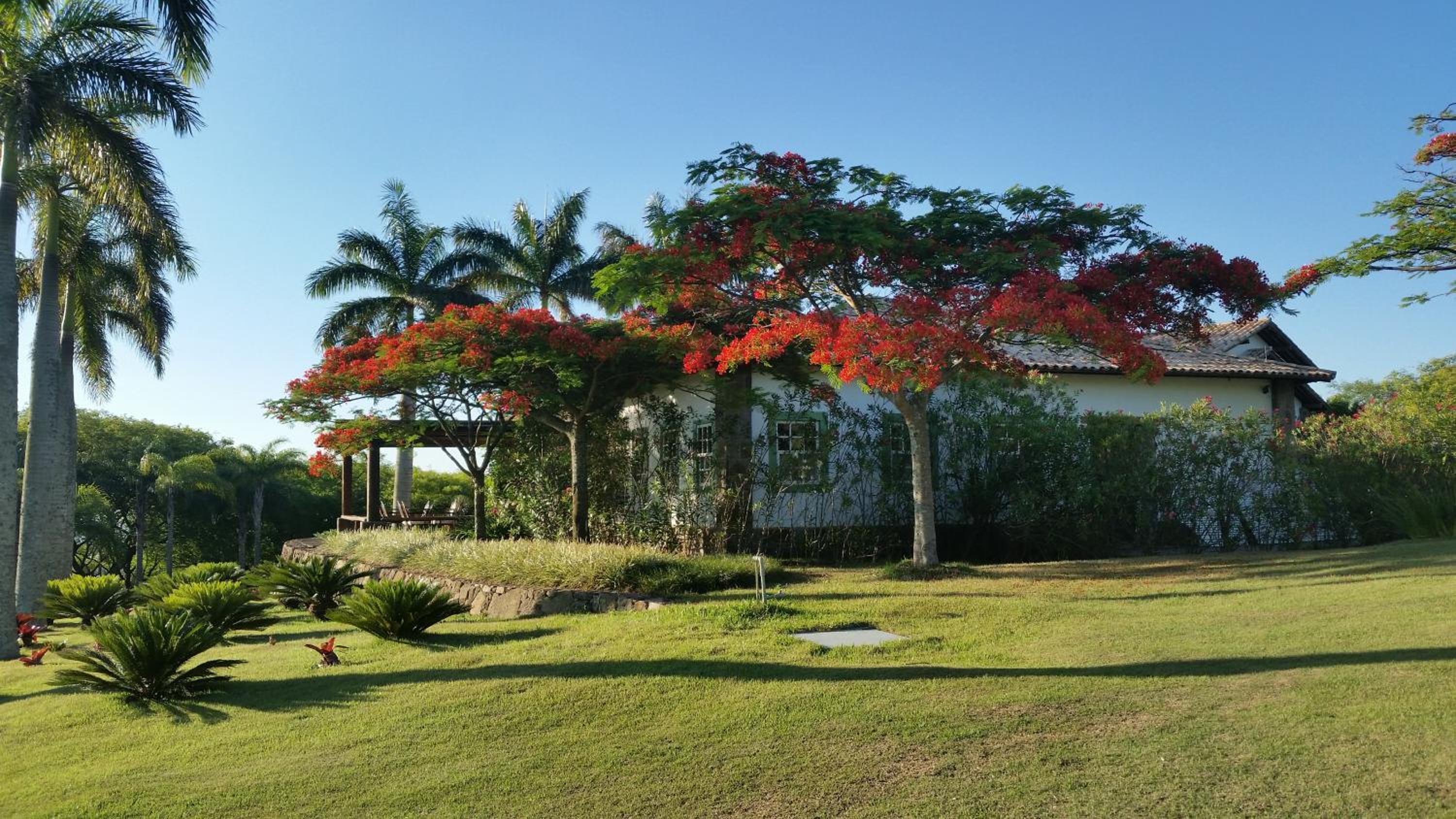 Villa with Garden View - Photo 7