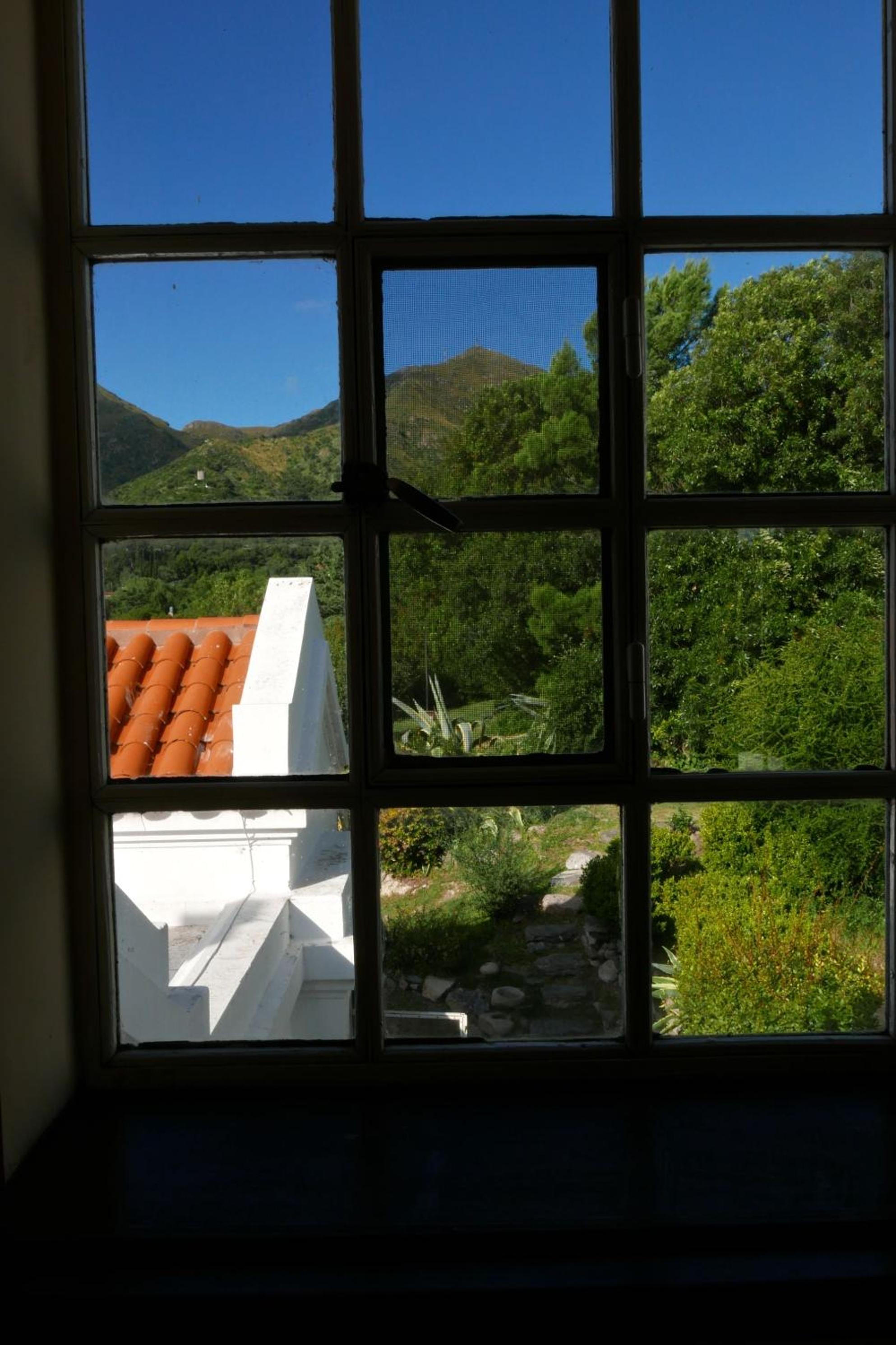 Queen Suite with Pool View photo 2