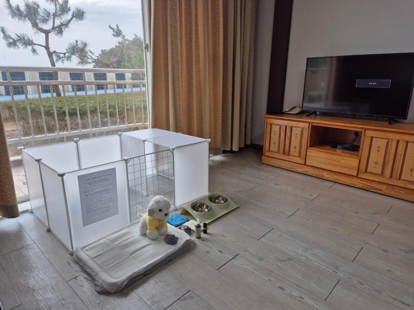 Family Pet Room - Photo 2