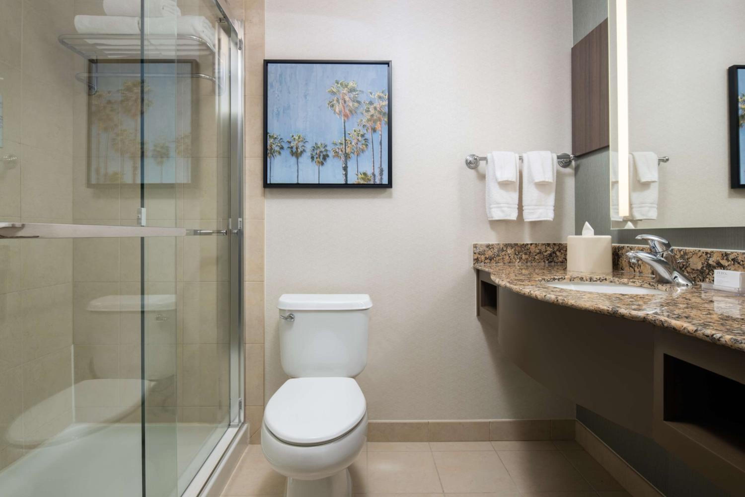 Deluxe King Suite - Photo 3