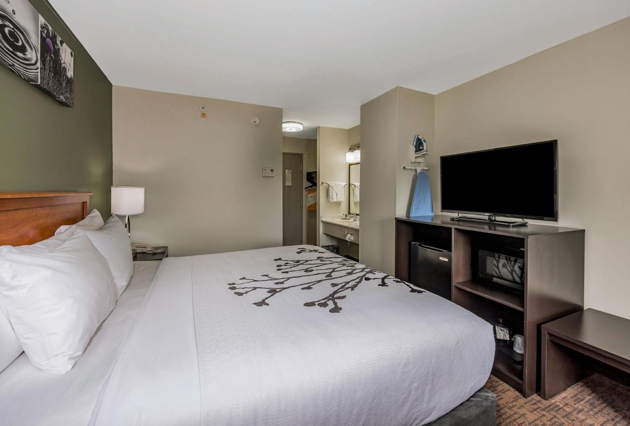 Queen Room - Disability Access - Non-Smoking - Photo 2