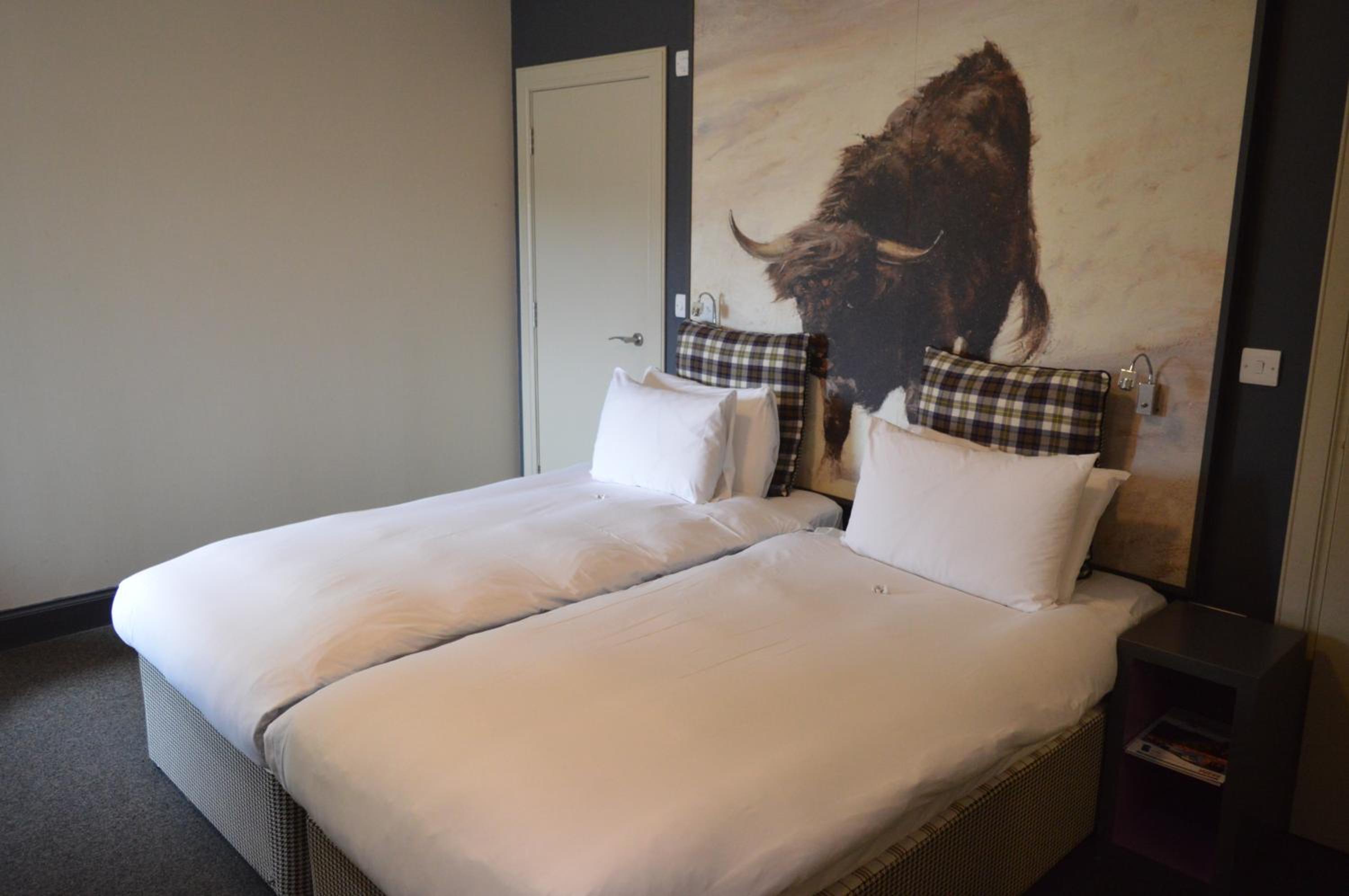 Twin Room photo 2