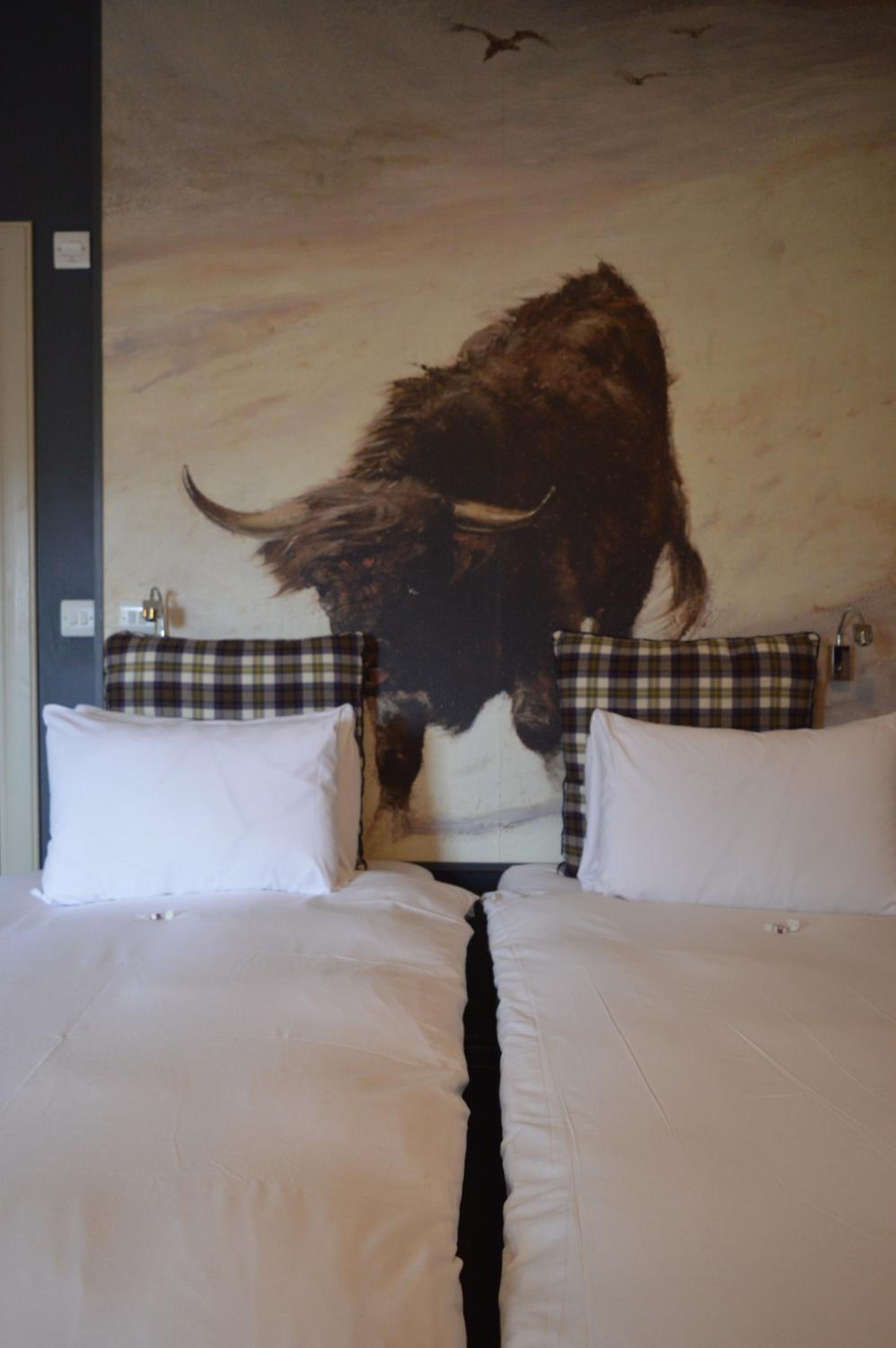 Twin Room photo 3