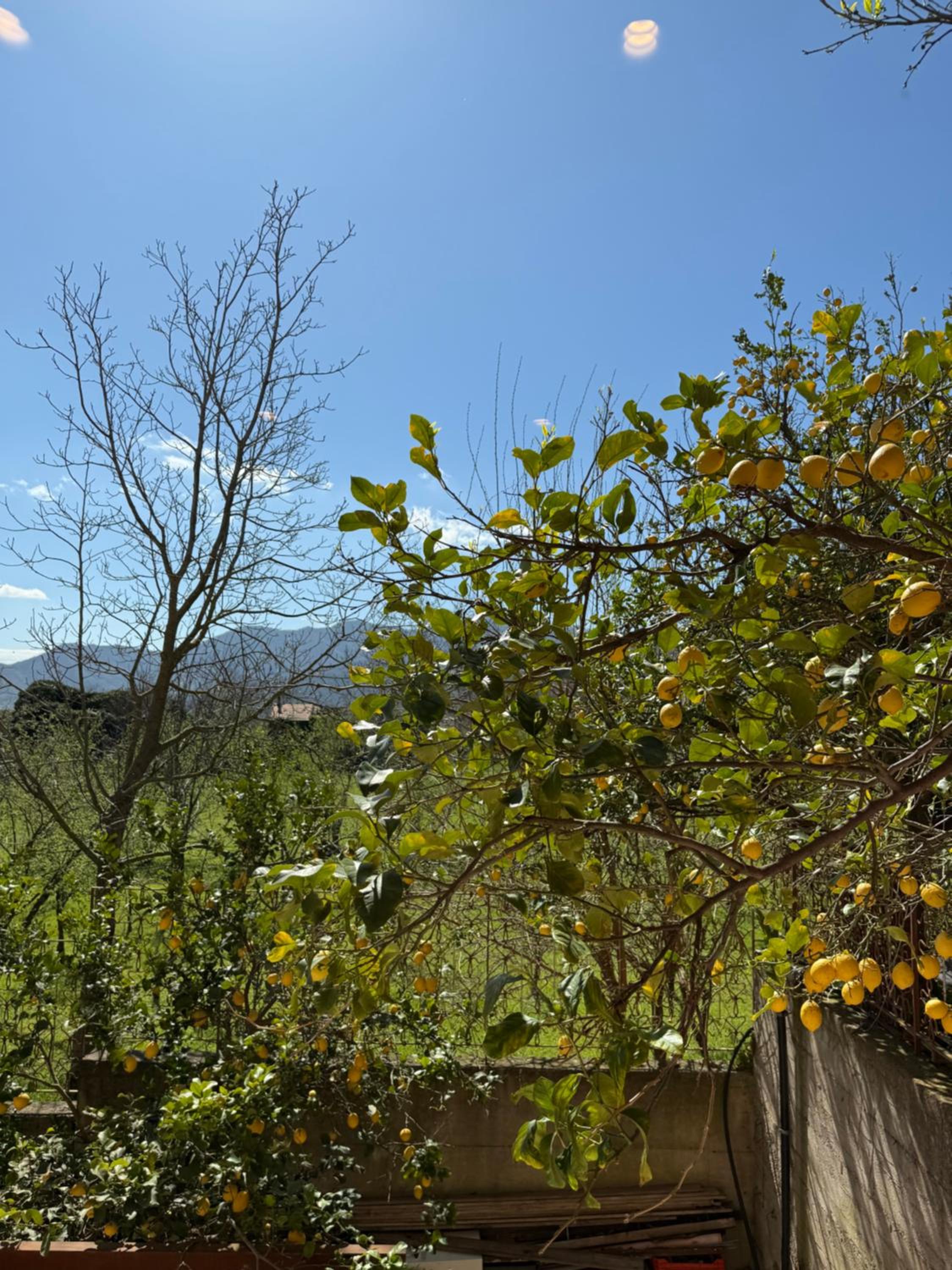 Double Room With Mountain View