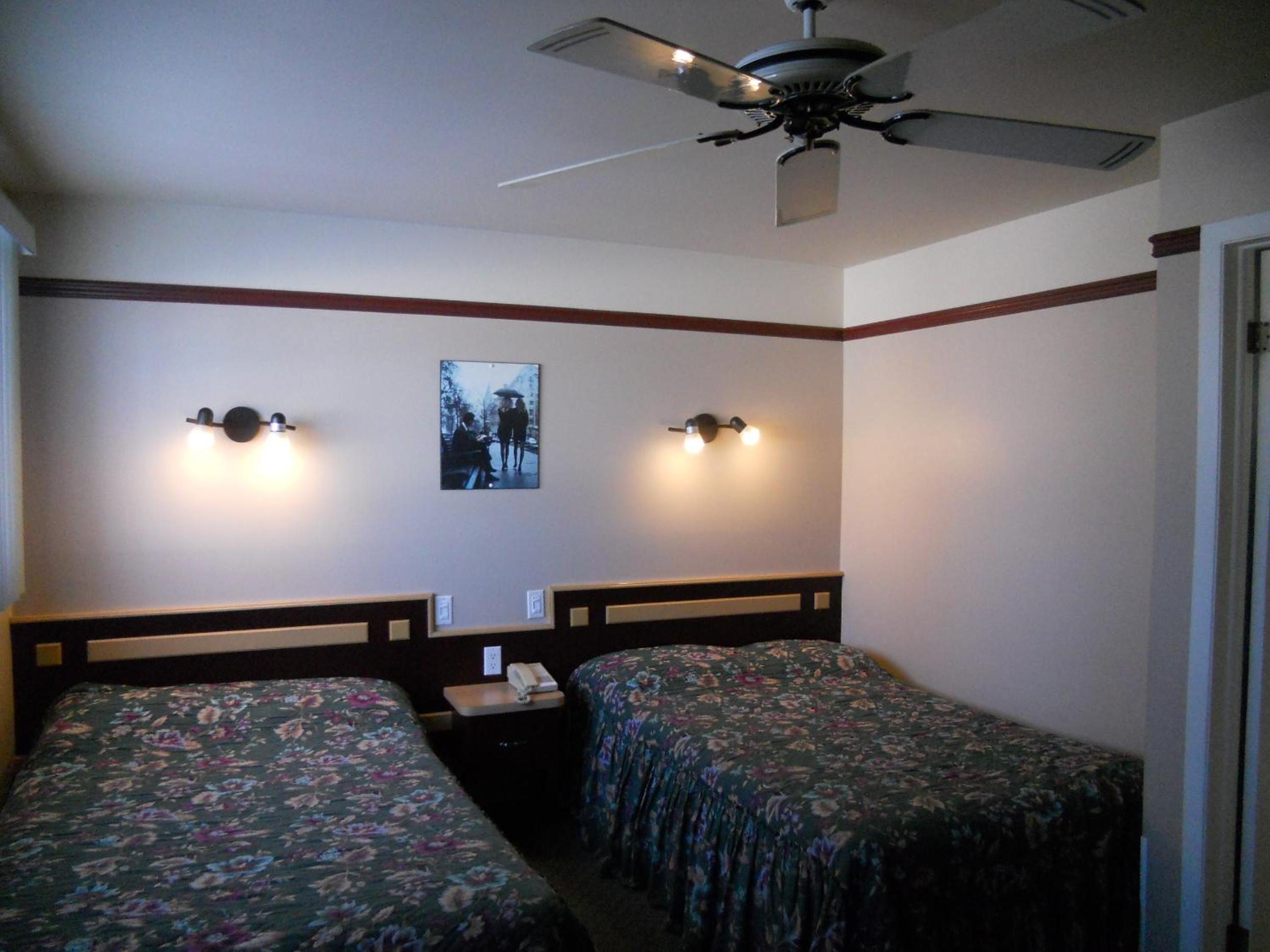 Standard Twin Room photo 2