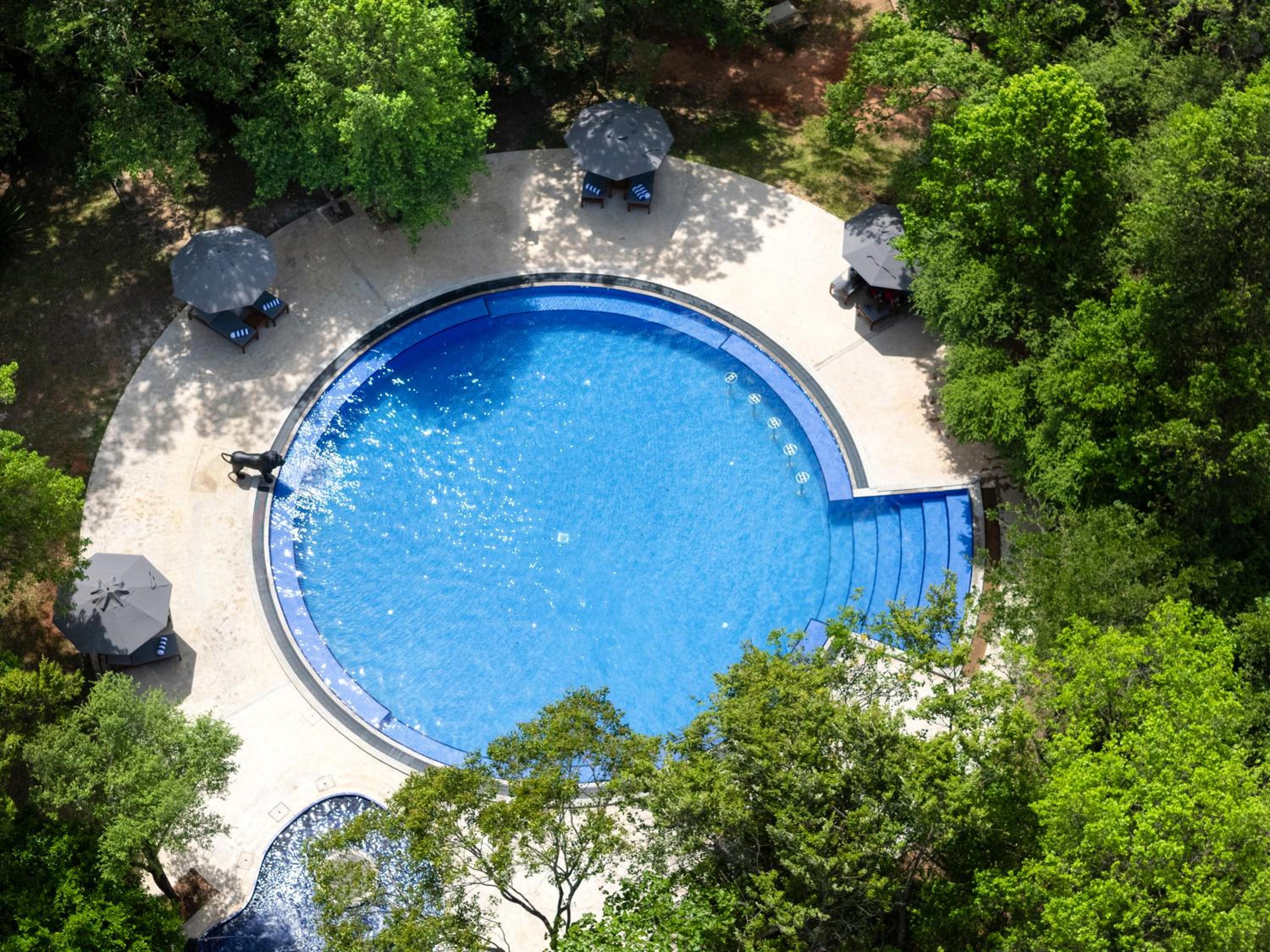 Presidential Suite with Pool Deck + Complimentary Ayurveda Doctors Consultation + 90 minute Ayurveda treatment session daily