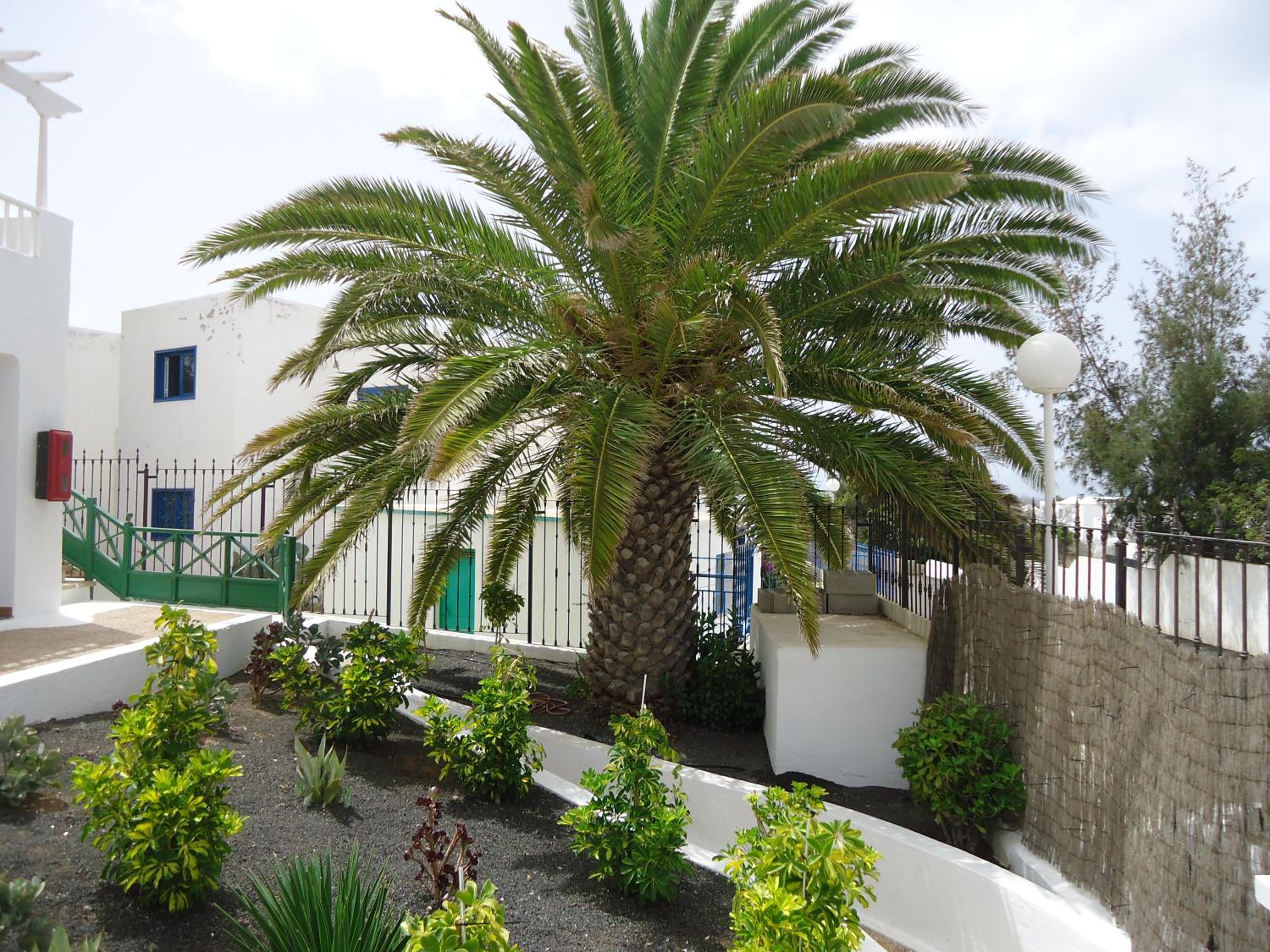 One Bedroom Apartment with Pool View photo 2
