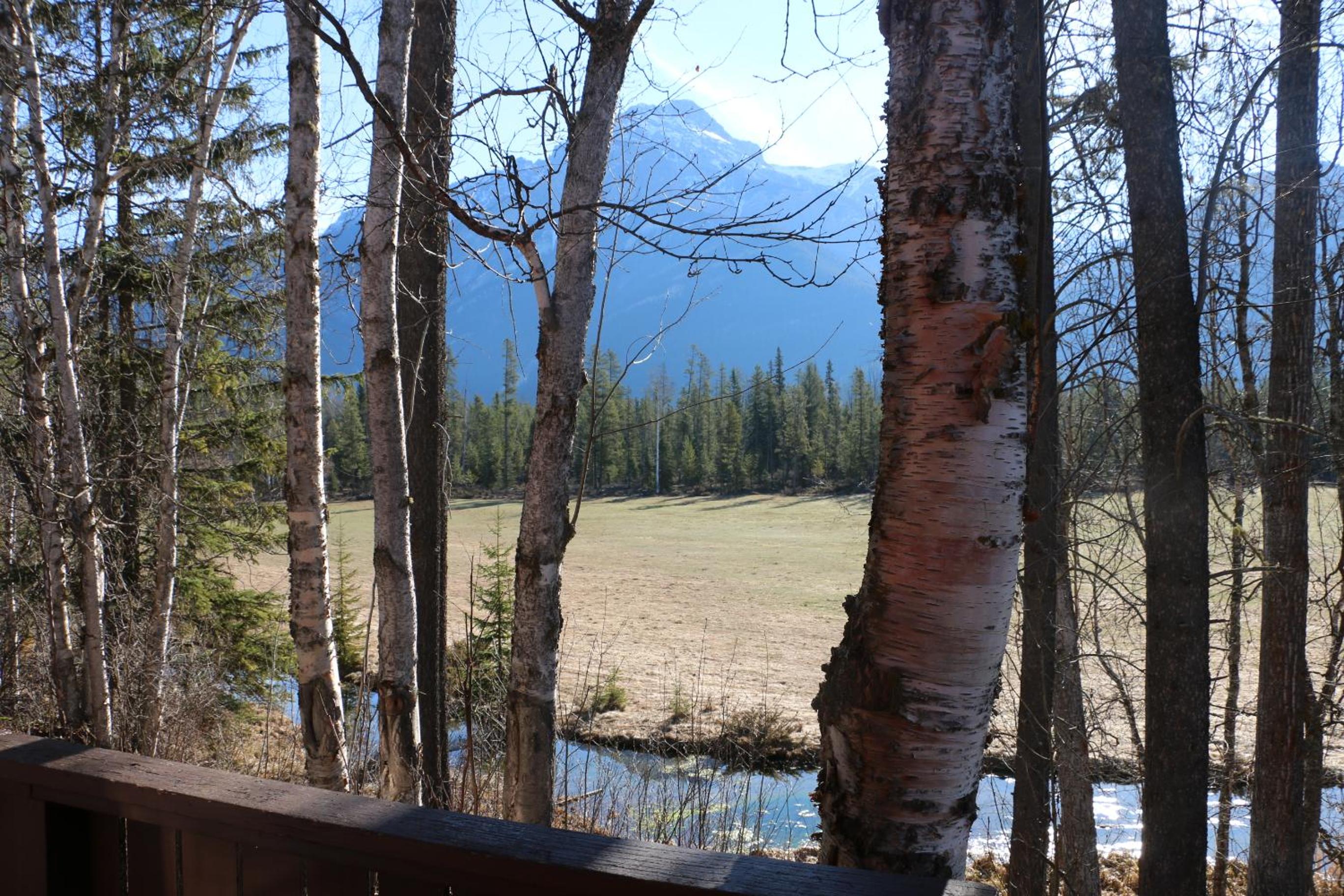 Cabin #2 photo 3