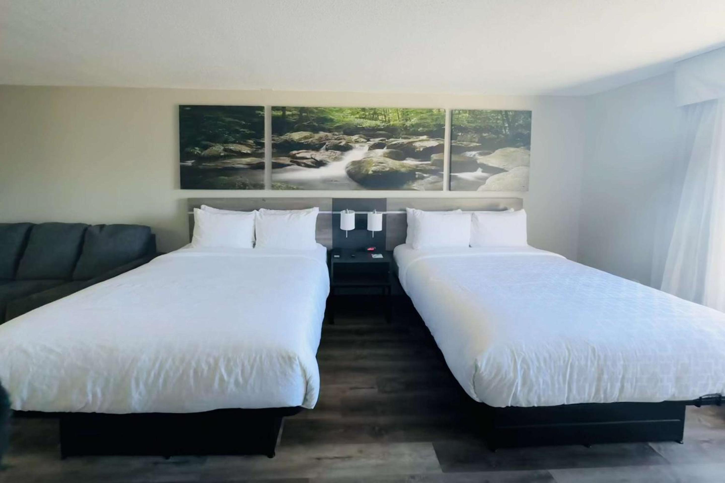 Double Room with Two Double Beds