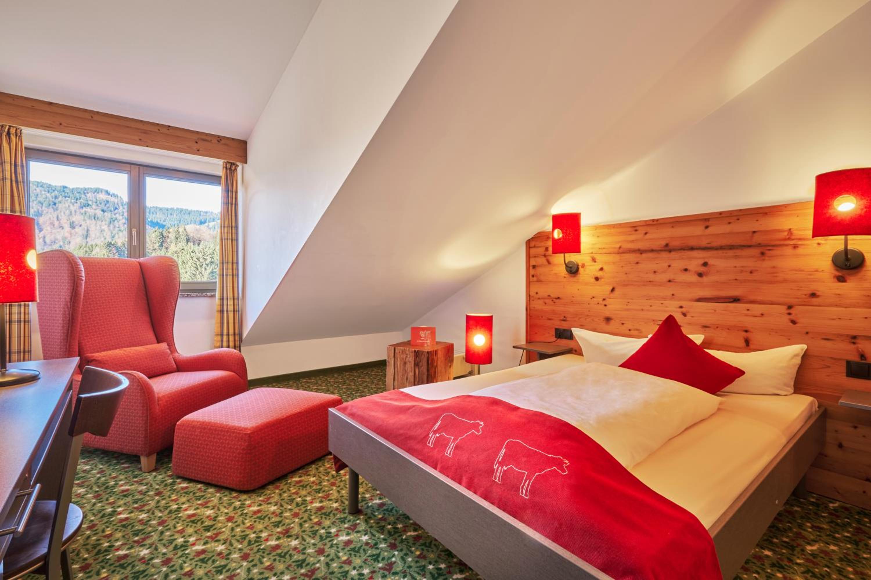 Single Room with Mountain View