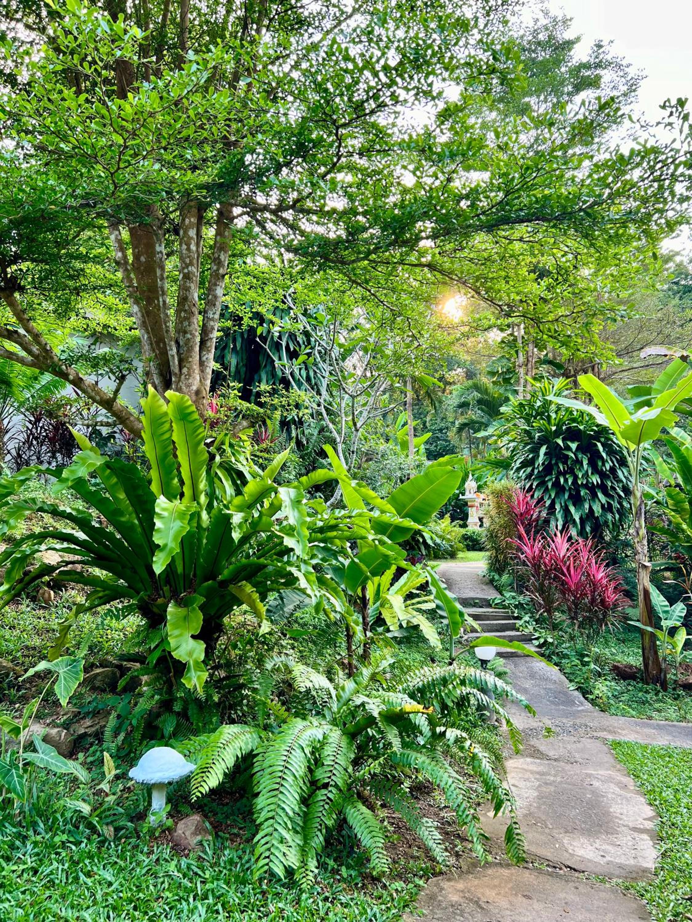 Standard Bungalow