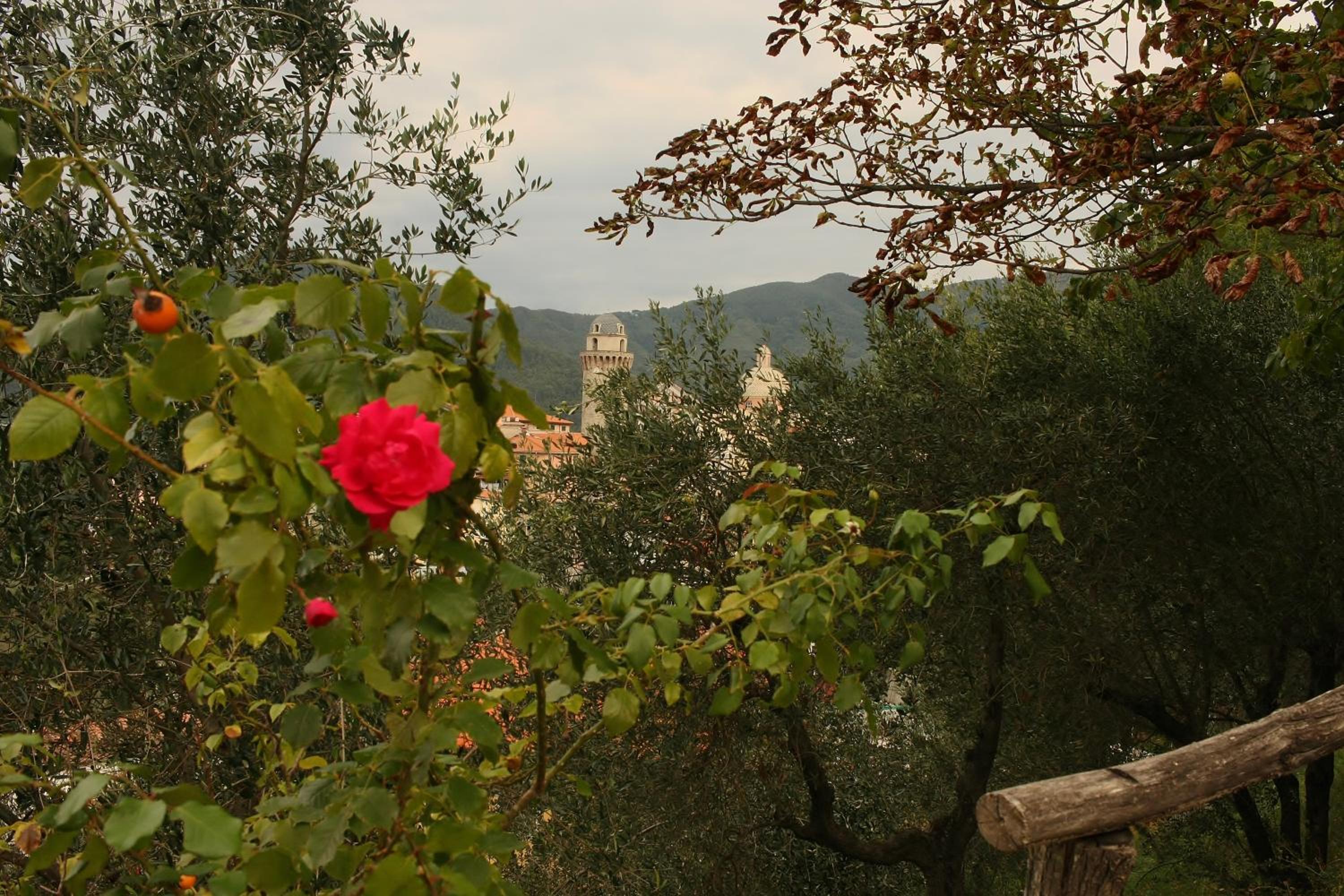 Double Room with Mountain View - Photo 8