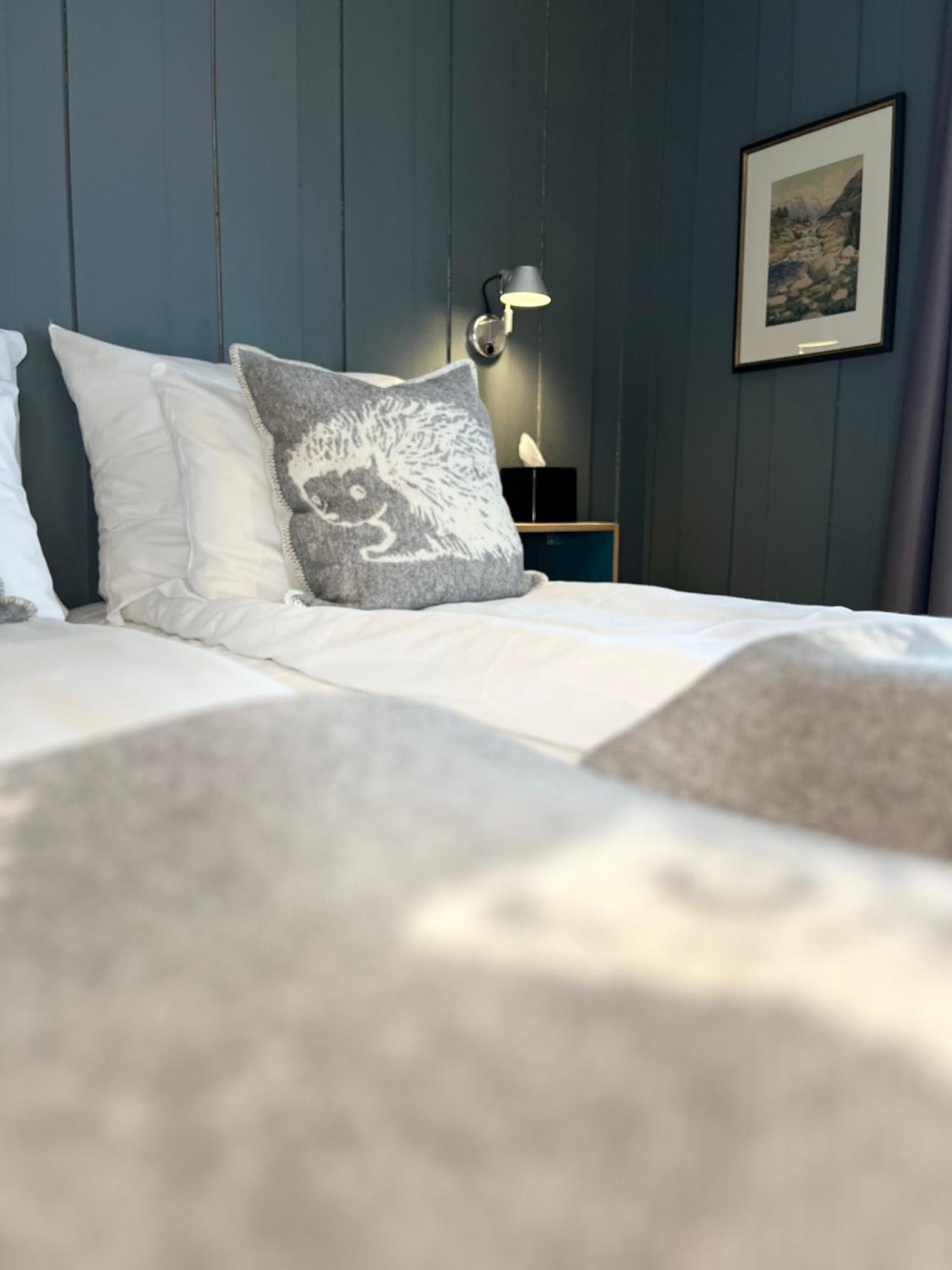 Double or Twin Room photo 1