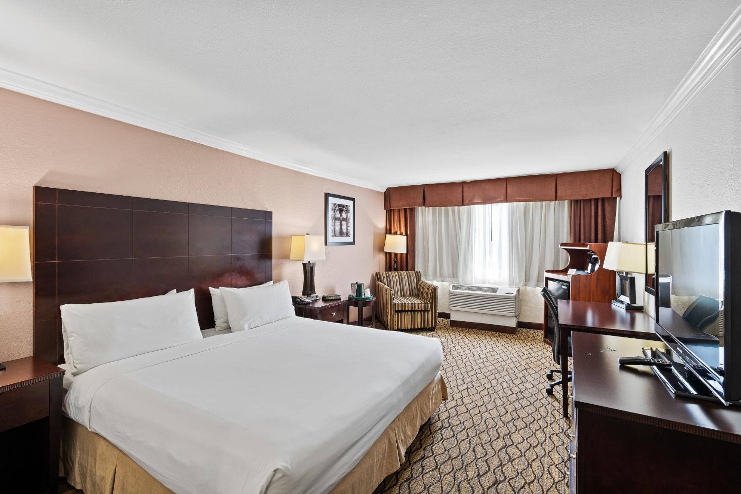 King Room photo 1